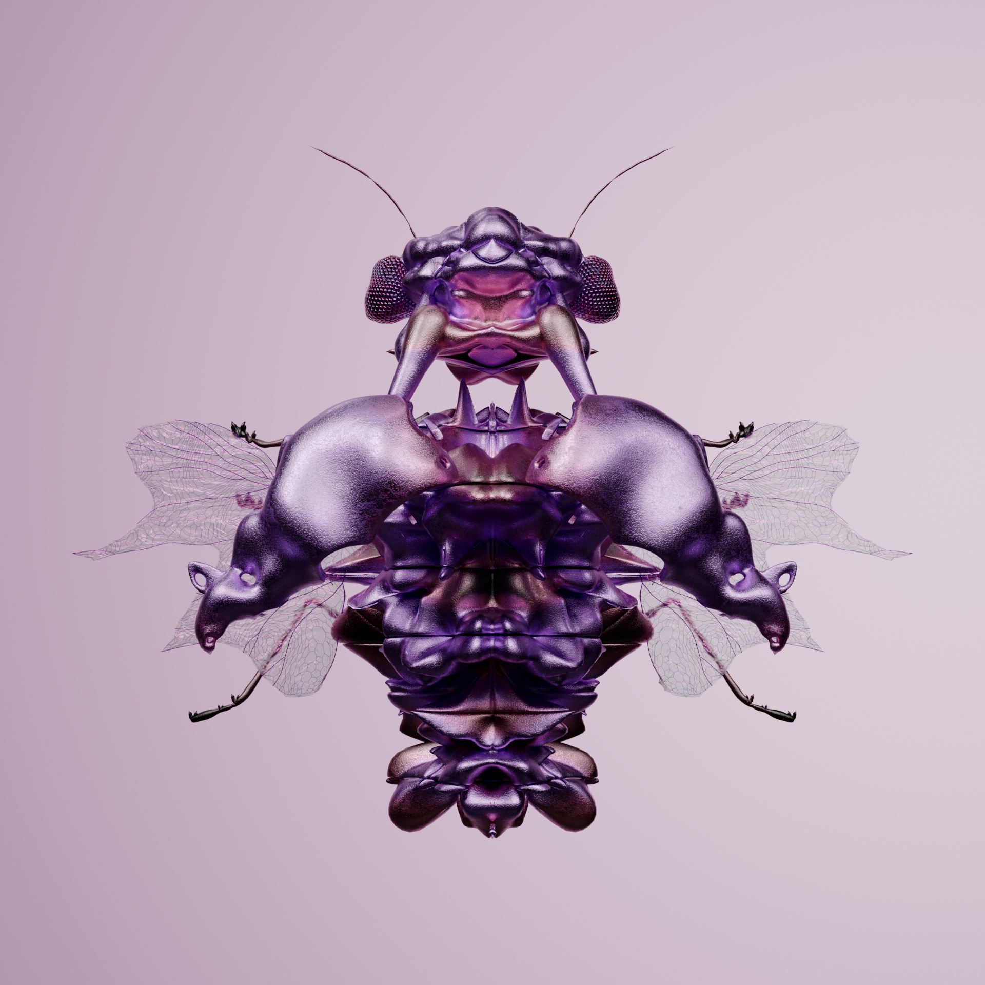 Coleopteracerritulus obscuratum