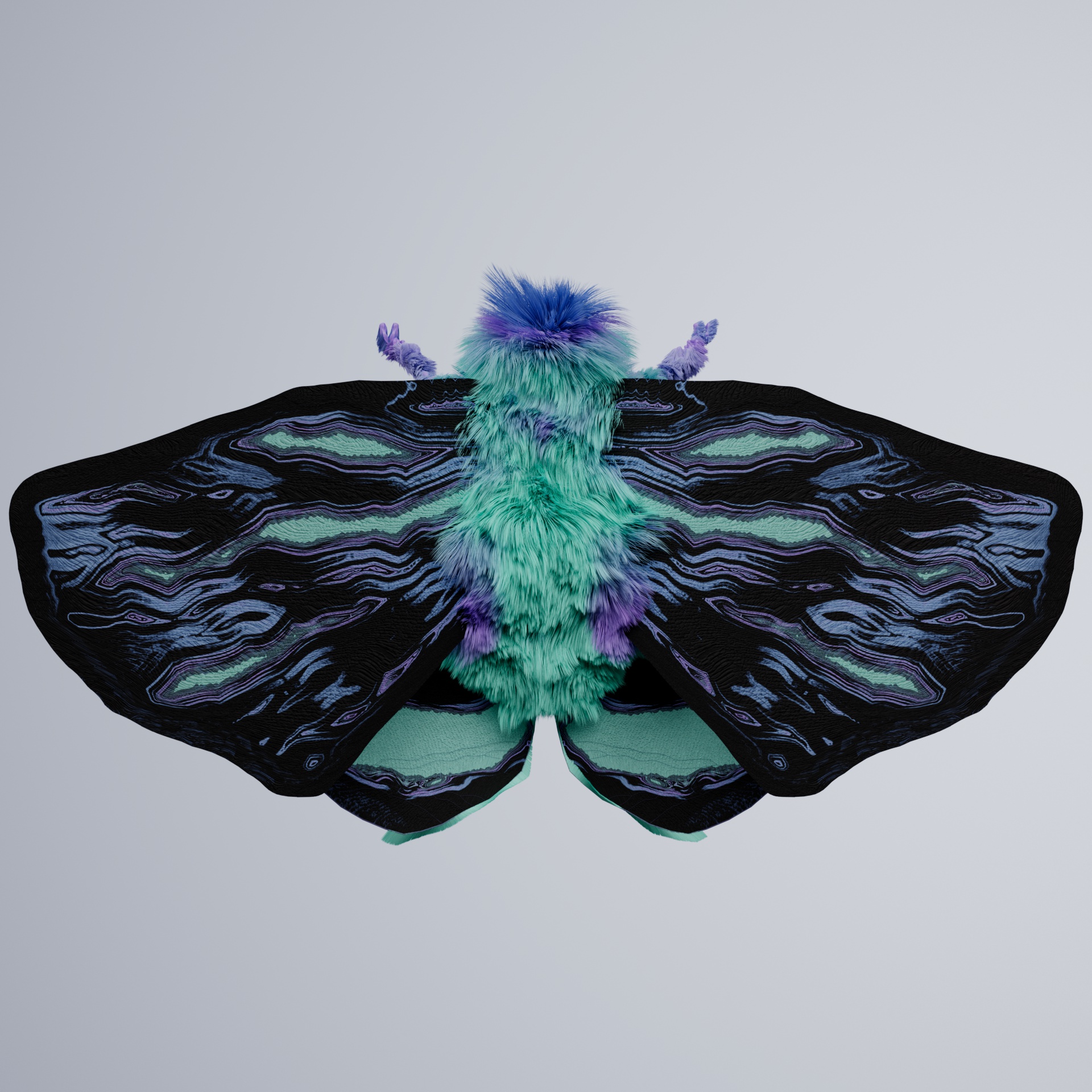 Lepidopterapinguis capucereri