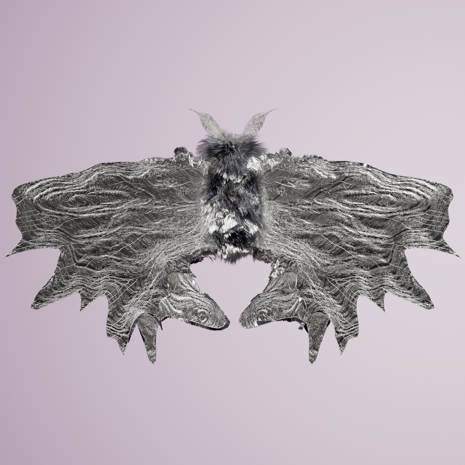 Lepidopteraaptera arinii