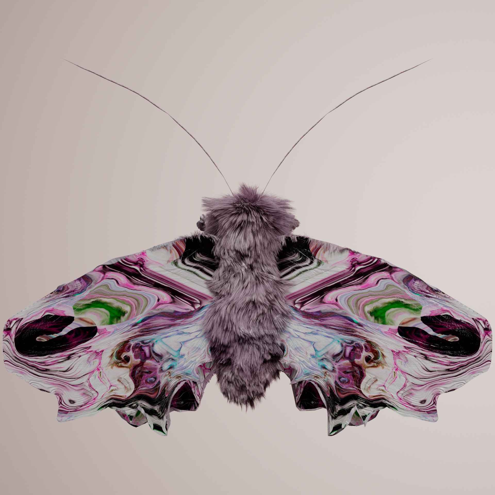 Lepidopteravivida cristiacus