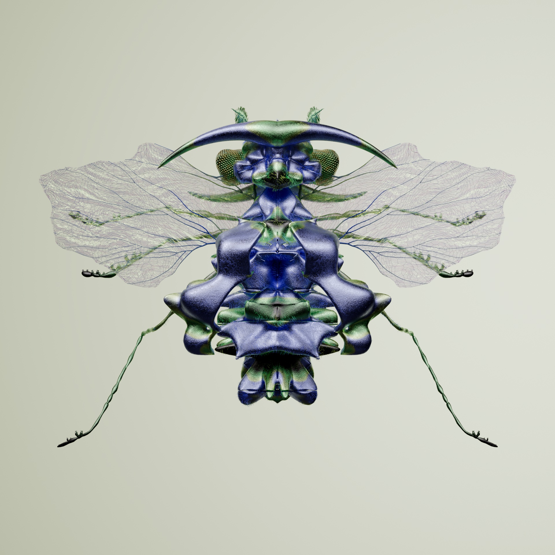 Coleopteraelphis putoensis