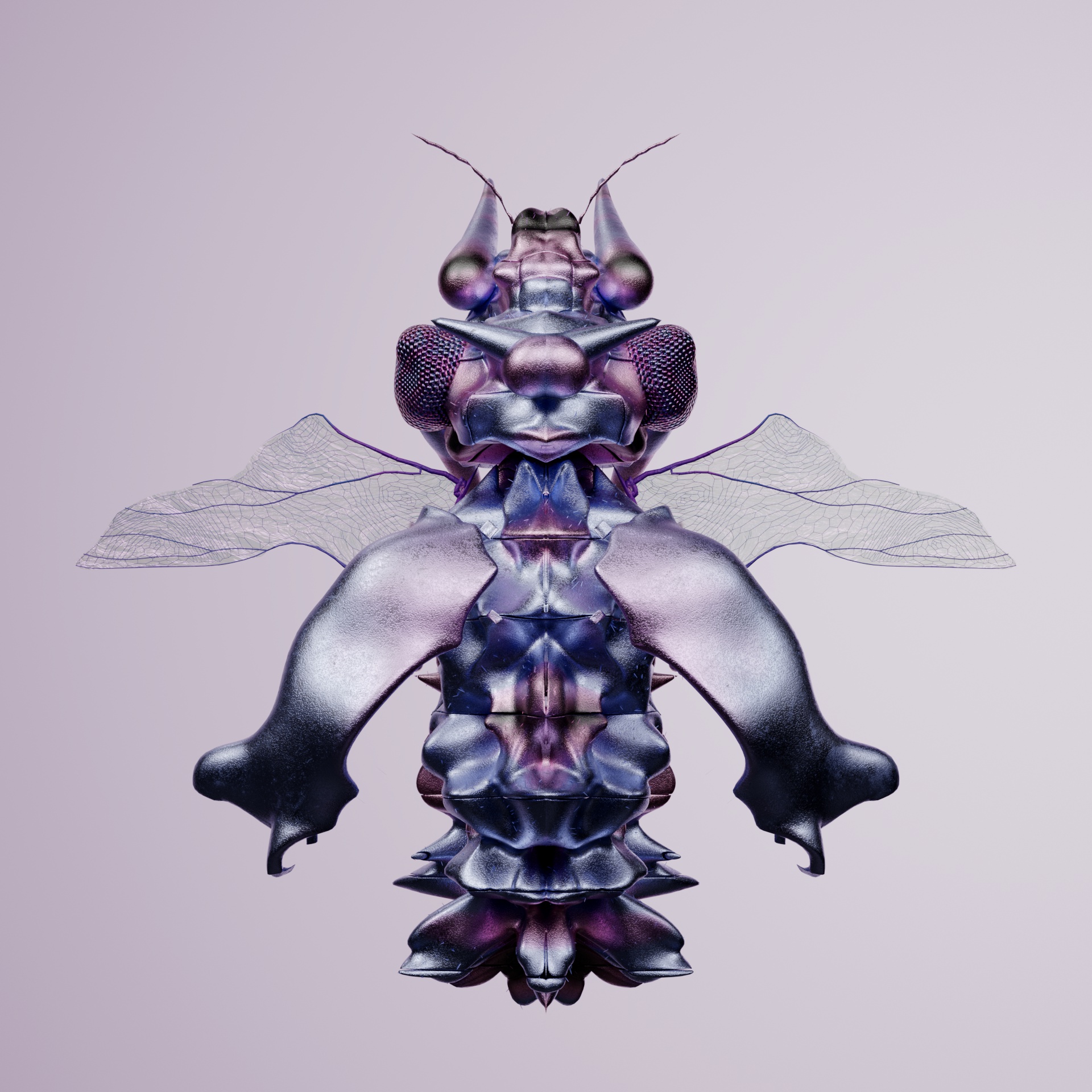 Coleopterasuperbus sulfurentalis