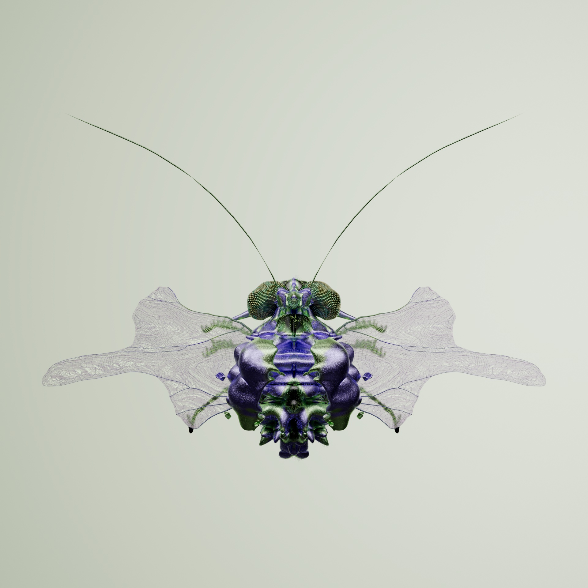 Coleopterayurus paticha