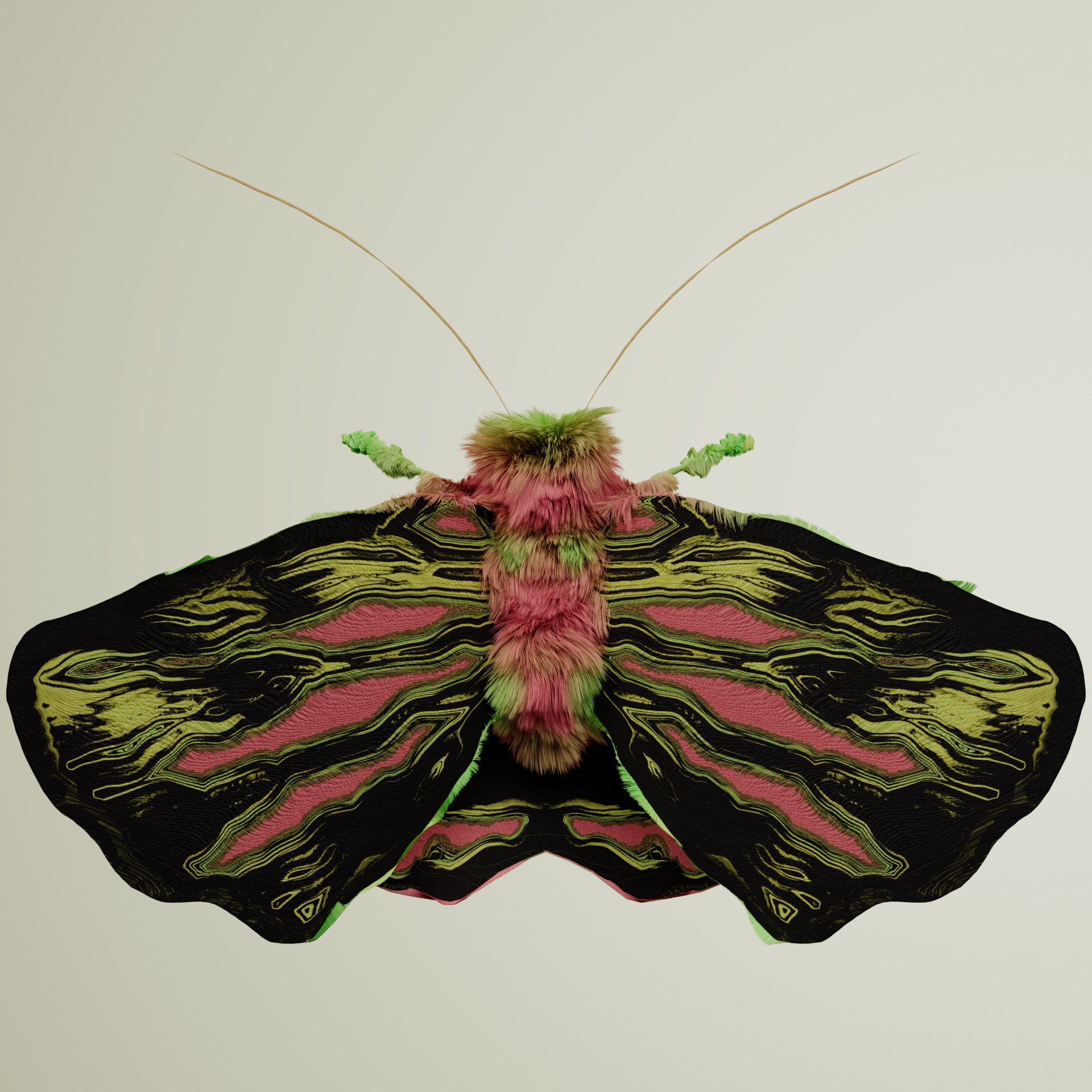 Lepidopterais bisonitimus
