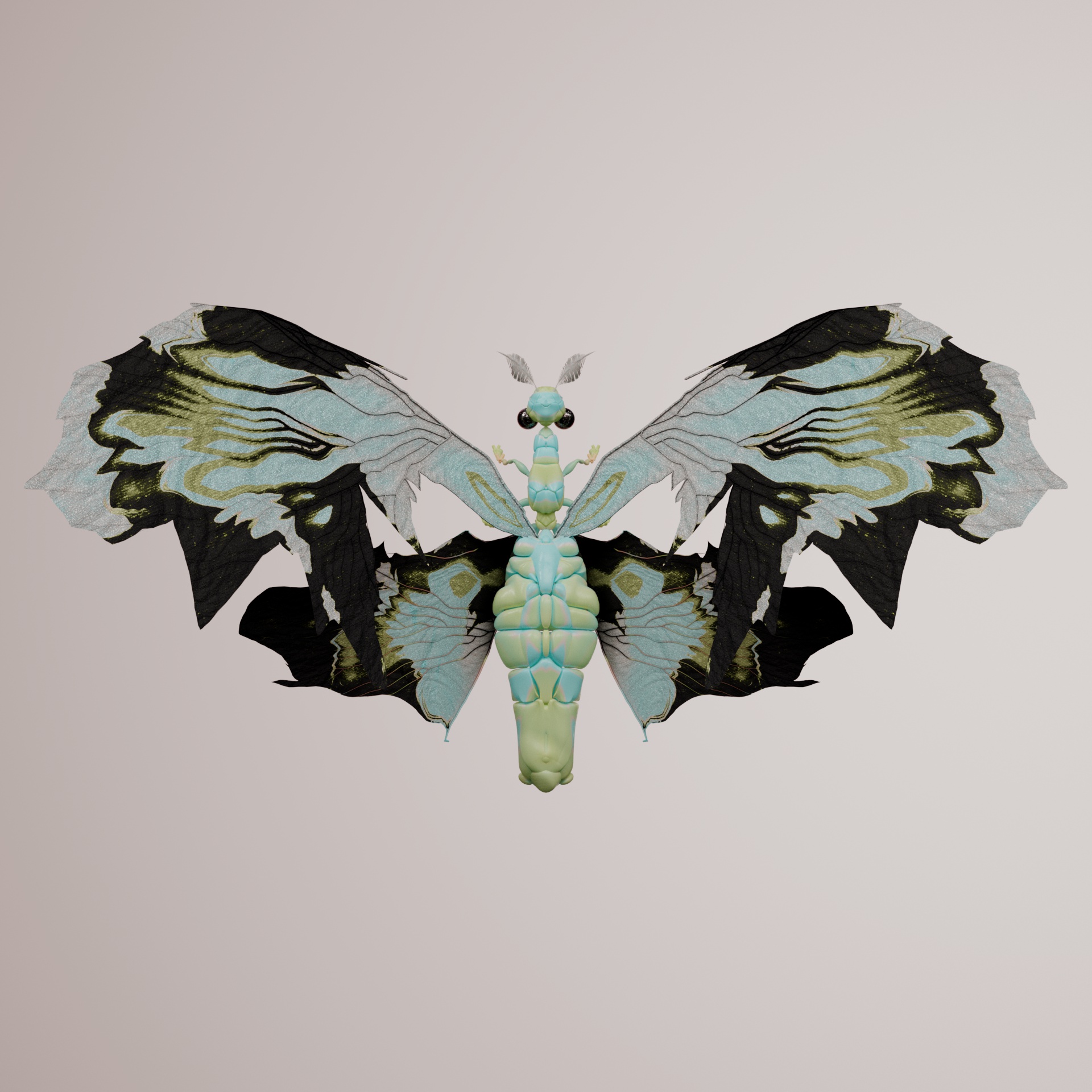 Rhopaloceravivida maronyx