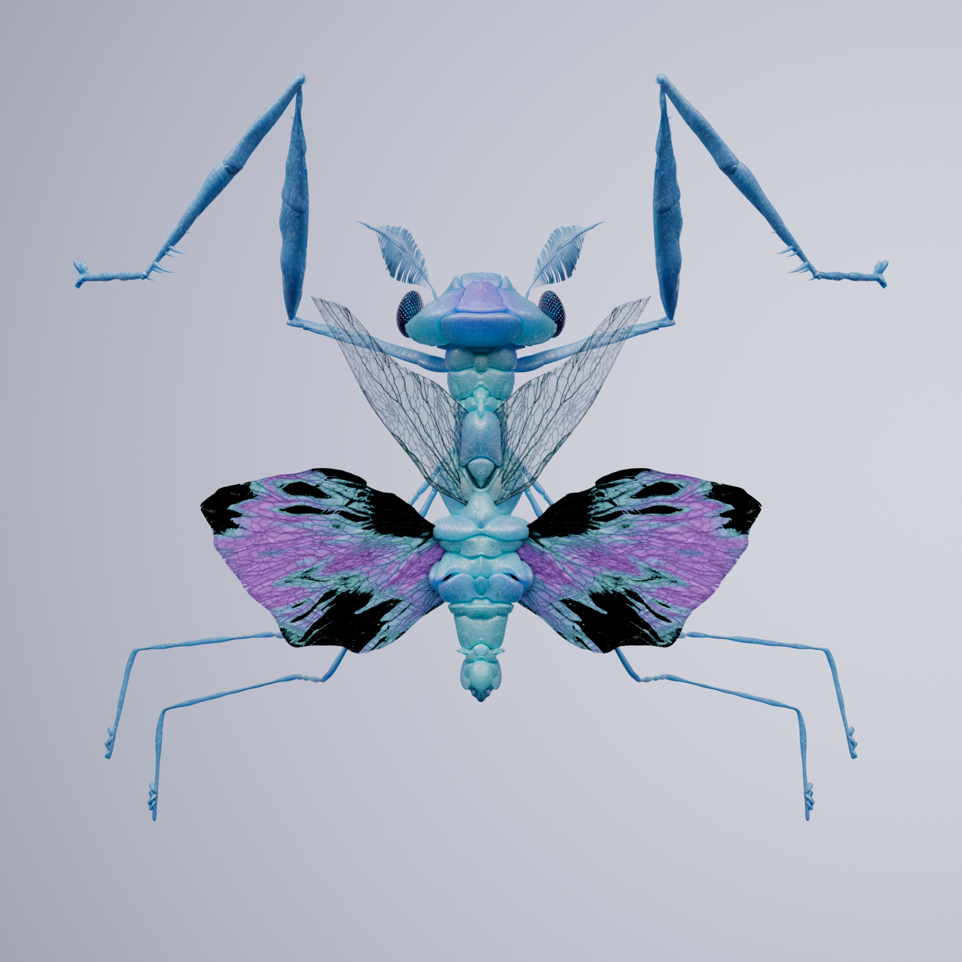 Mantodeaarodon undulatus