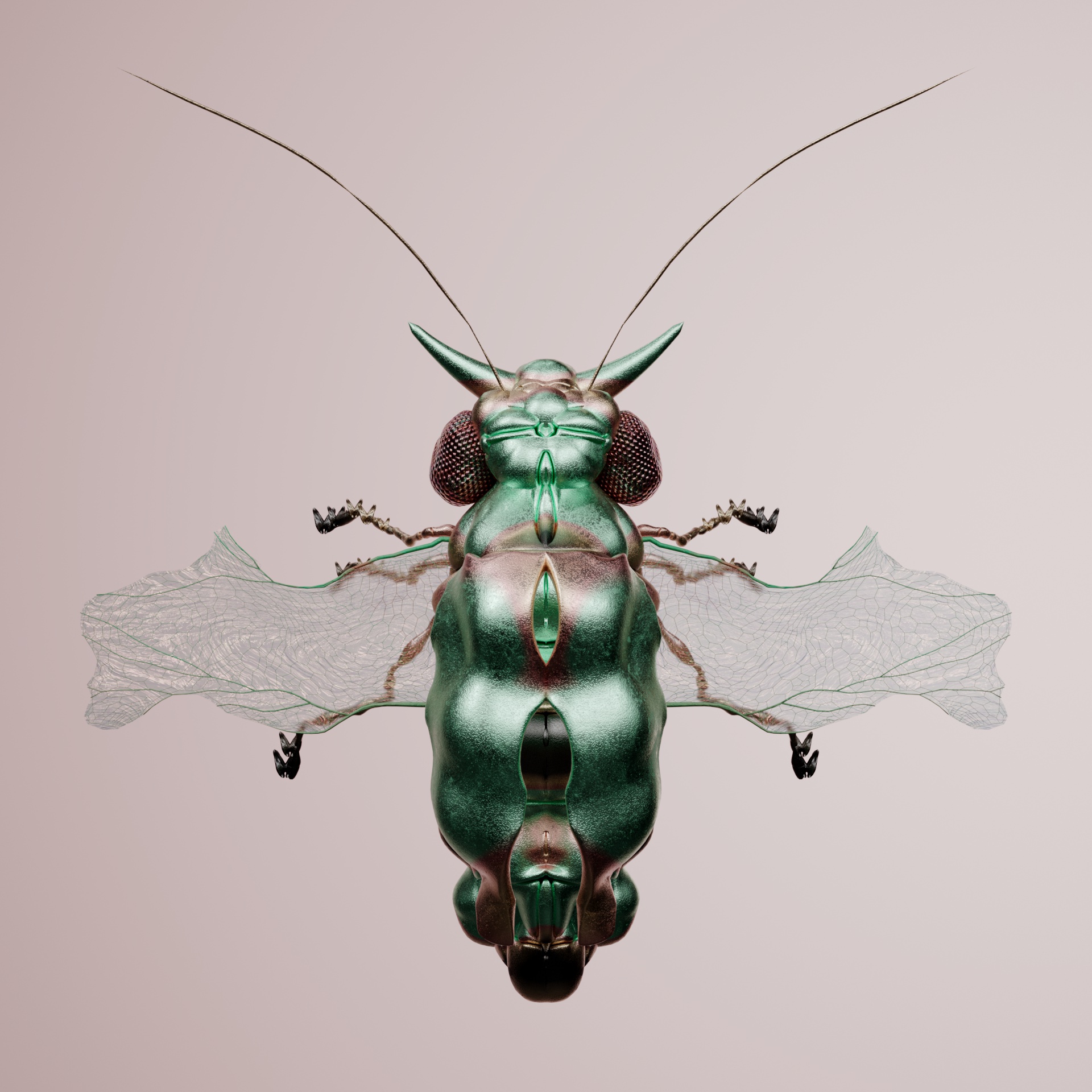 Coleopteraelphis rufules