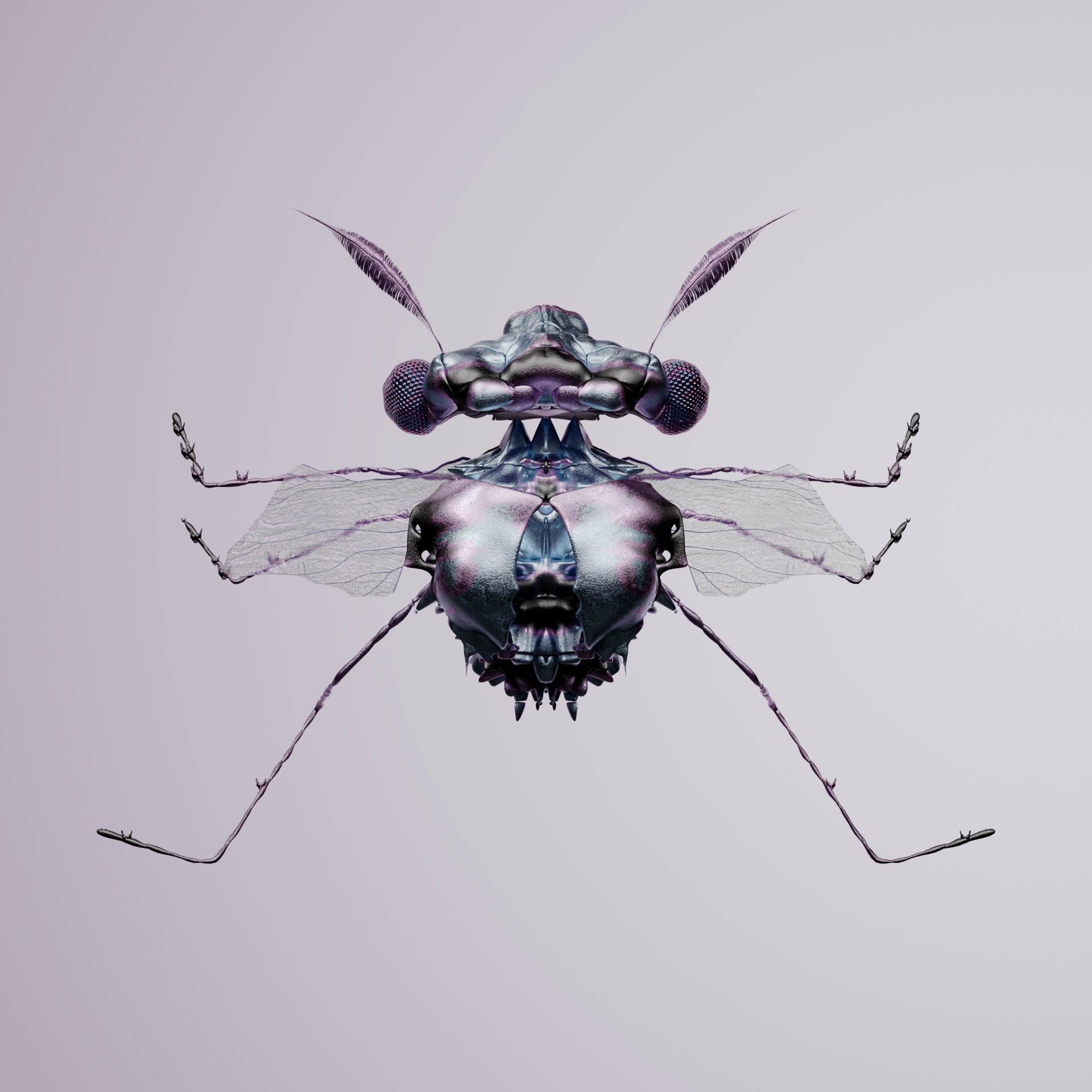 Coleopterasuperbus vulparias