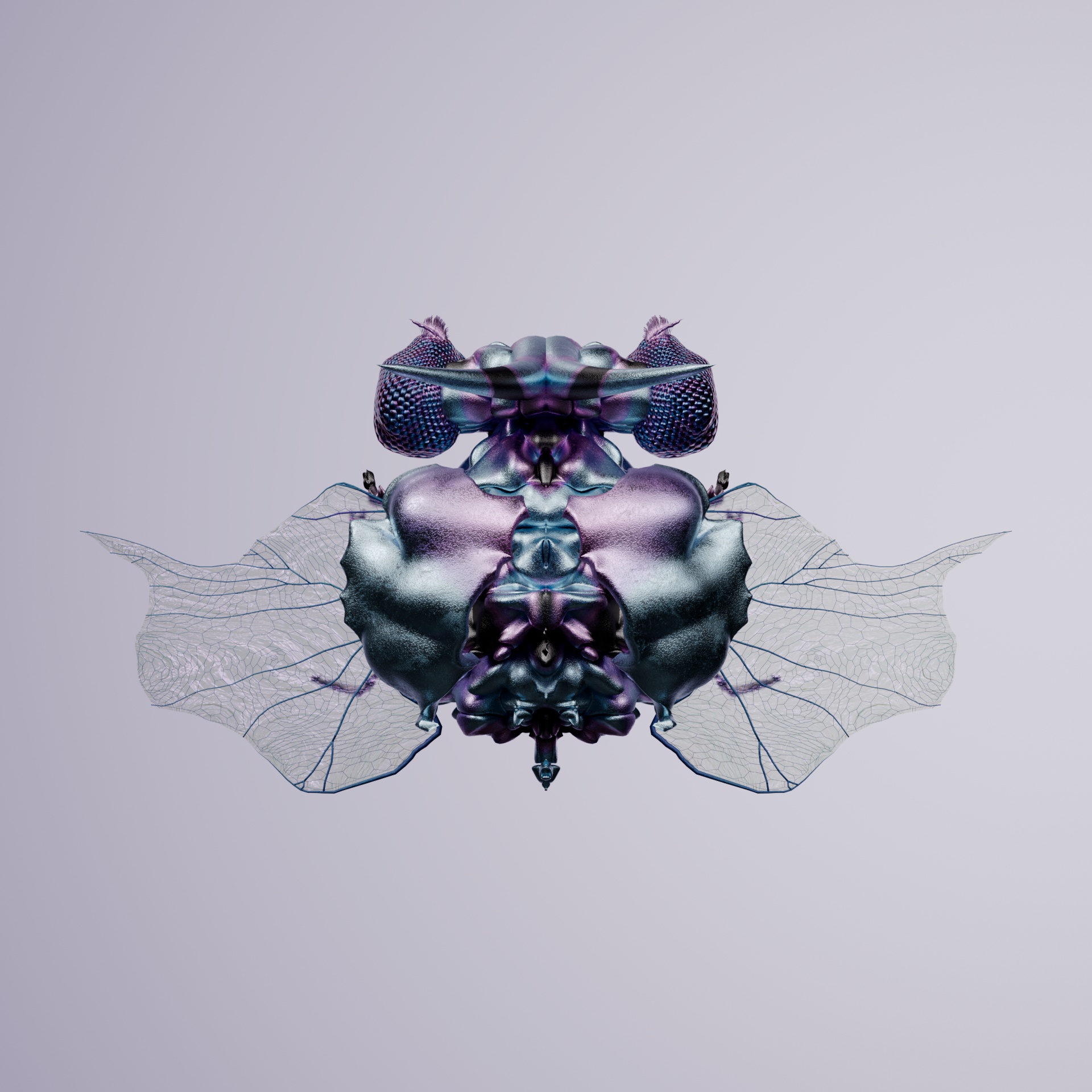 Coleopteraoprocta lagalus