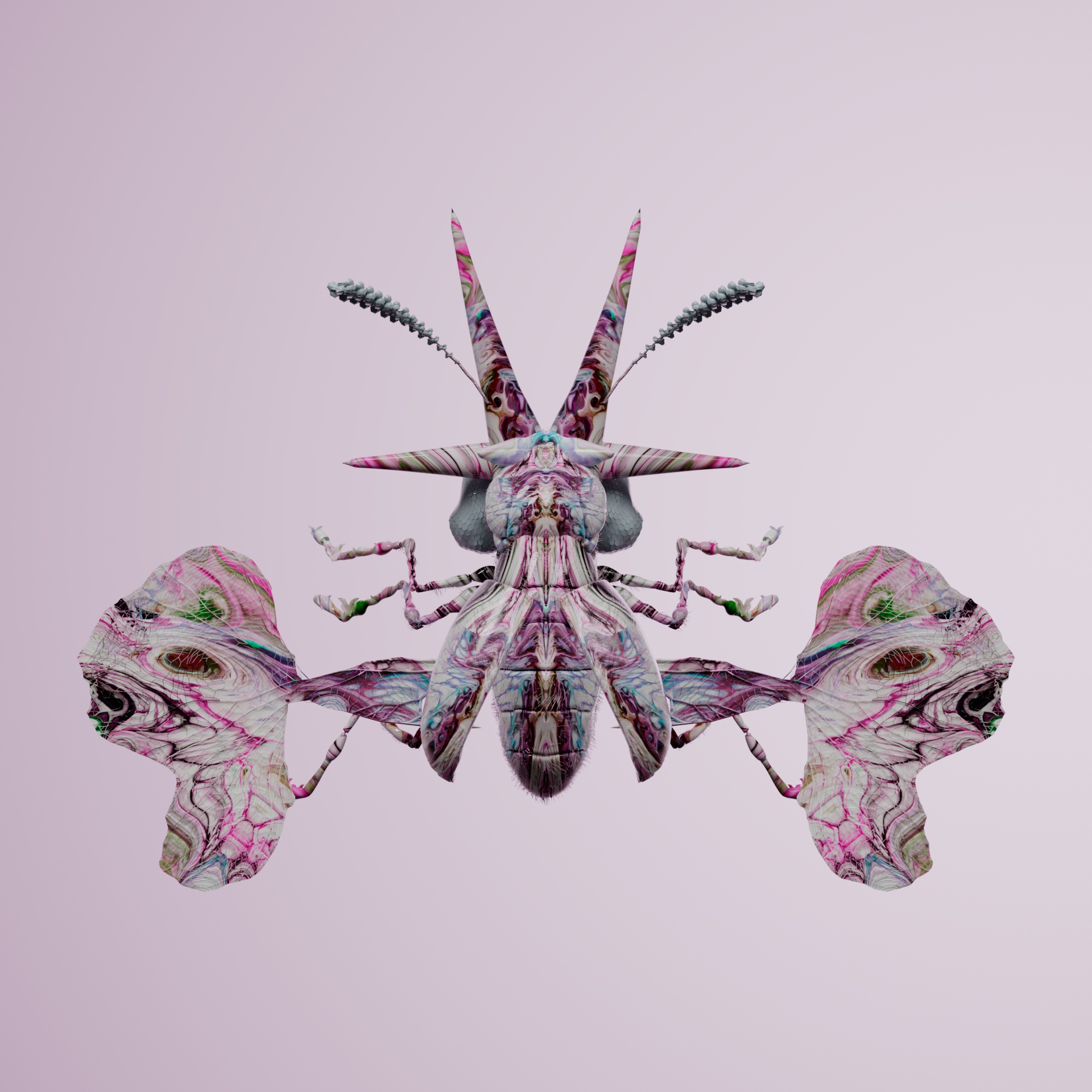 Coleopteravivida aratus