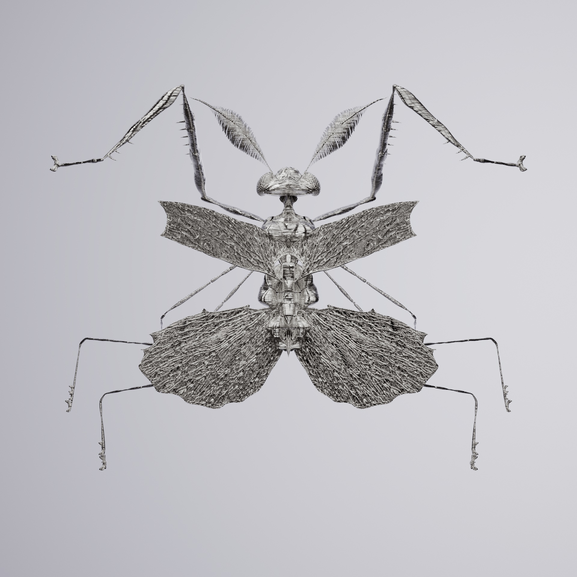 Mantodeacerritulus tibetofa