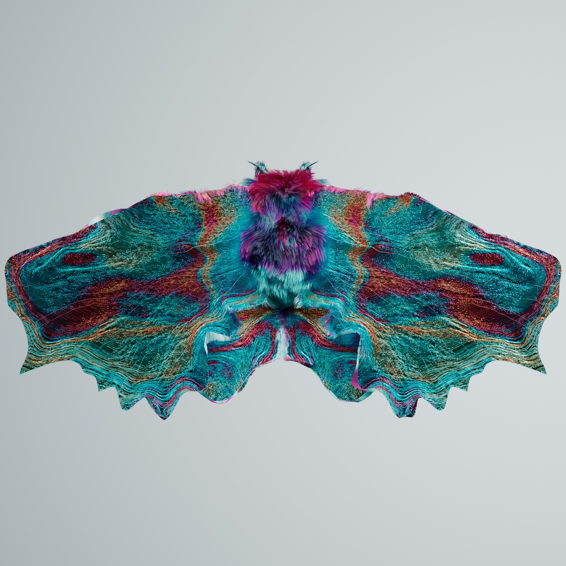 Lepidopteravivida amblyrhynchos