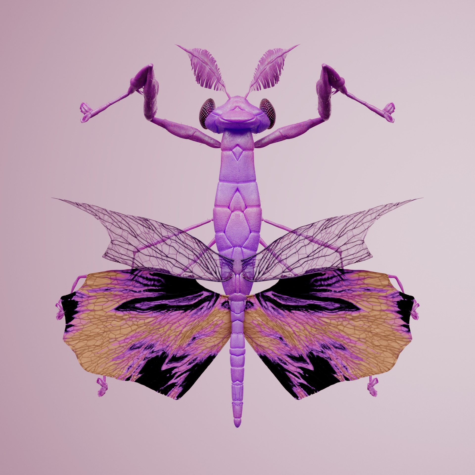 Mantodeaioidea albivoleuca