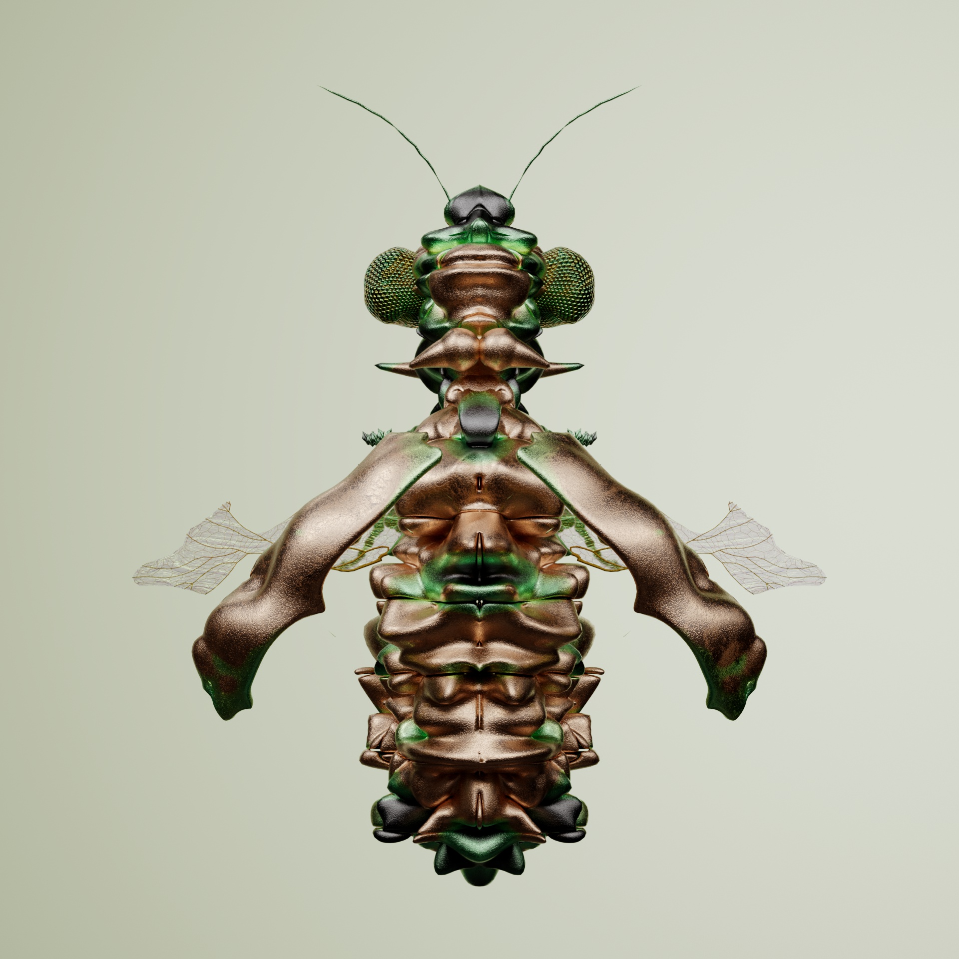 Coleopteraproceritas geoffrarinia
