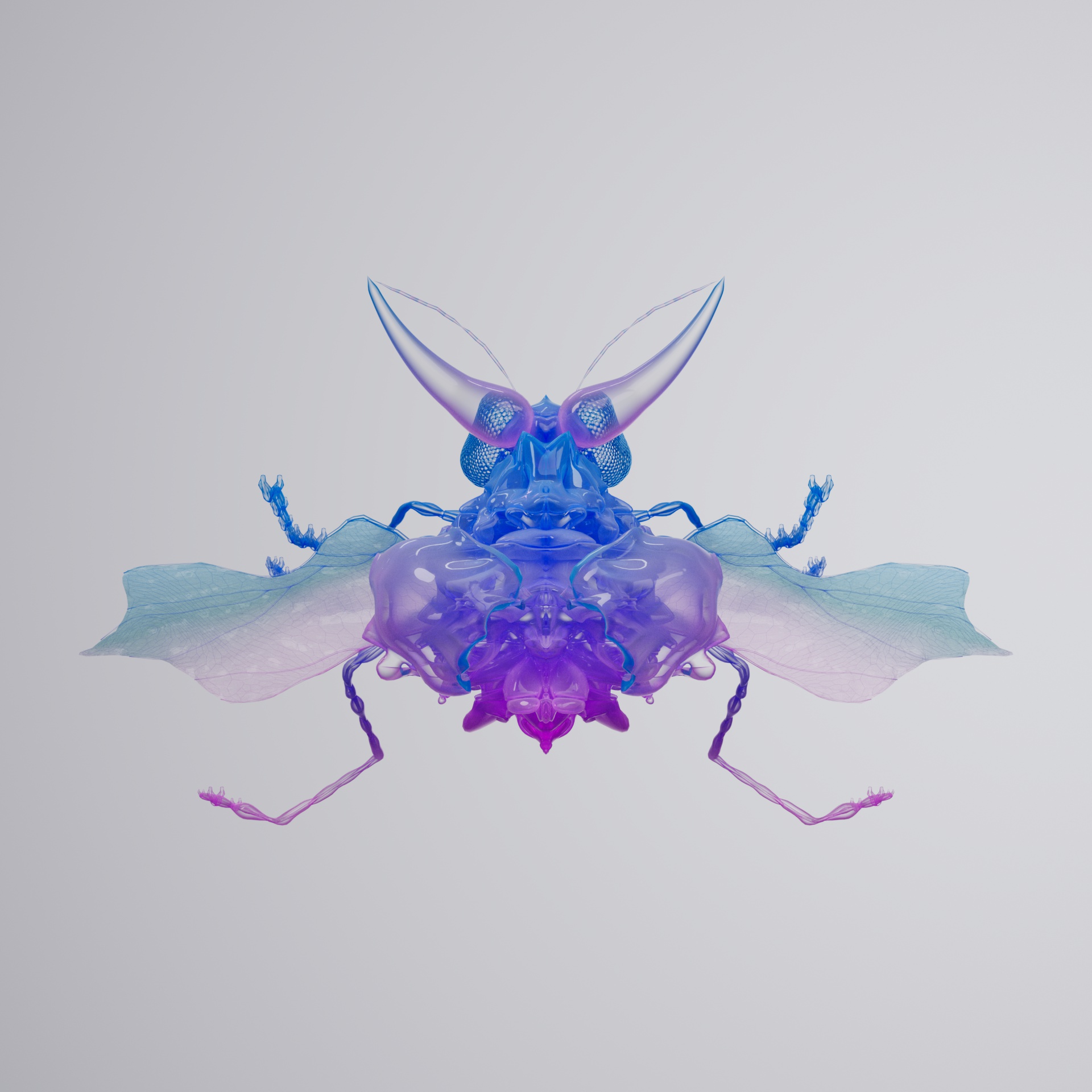 Coleopteraopsis cuvoura