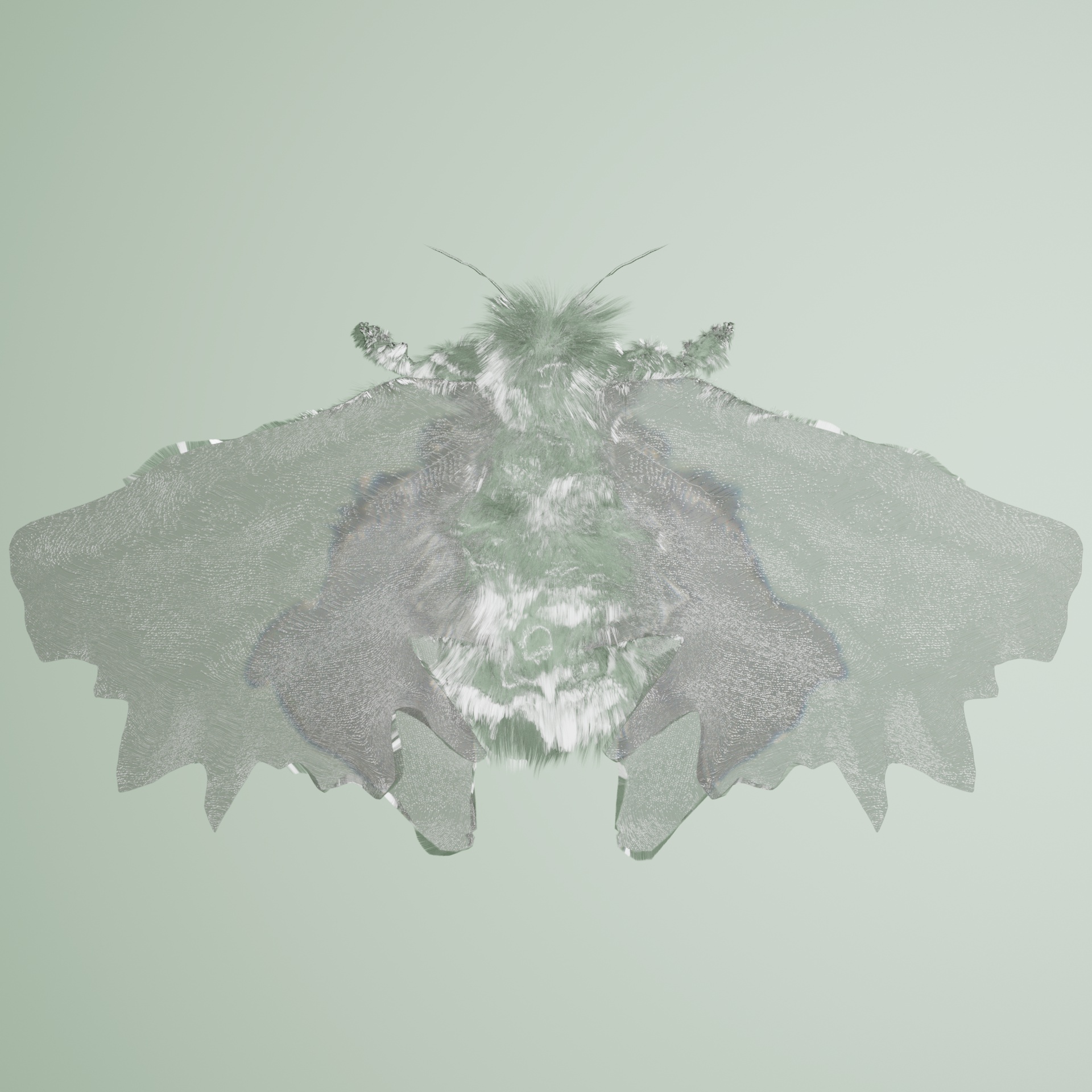 Lepidopteravivida capeiana