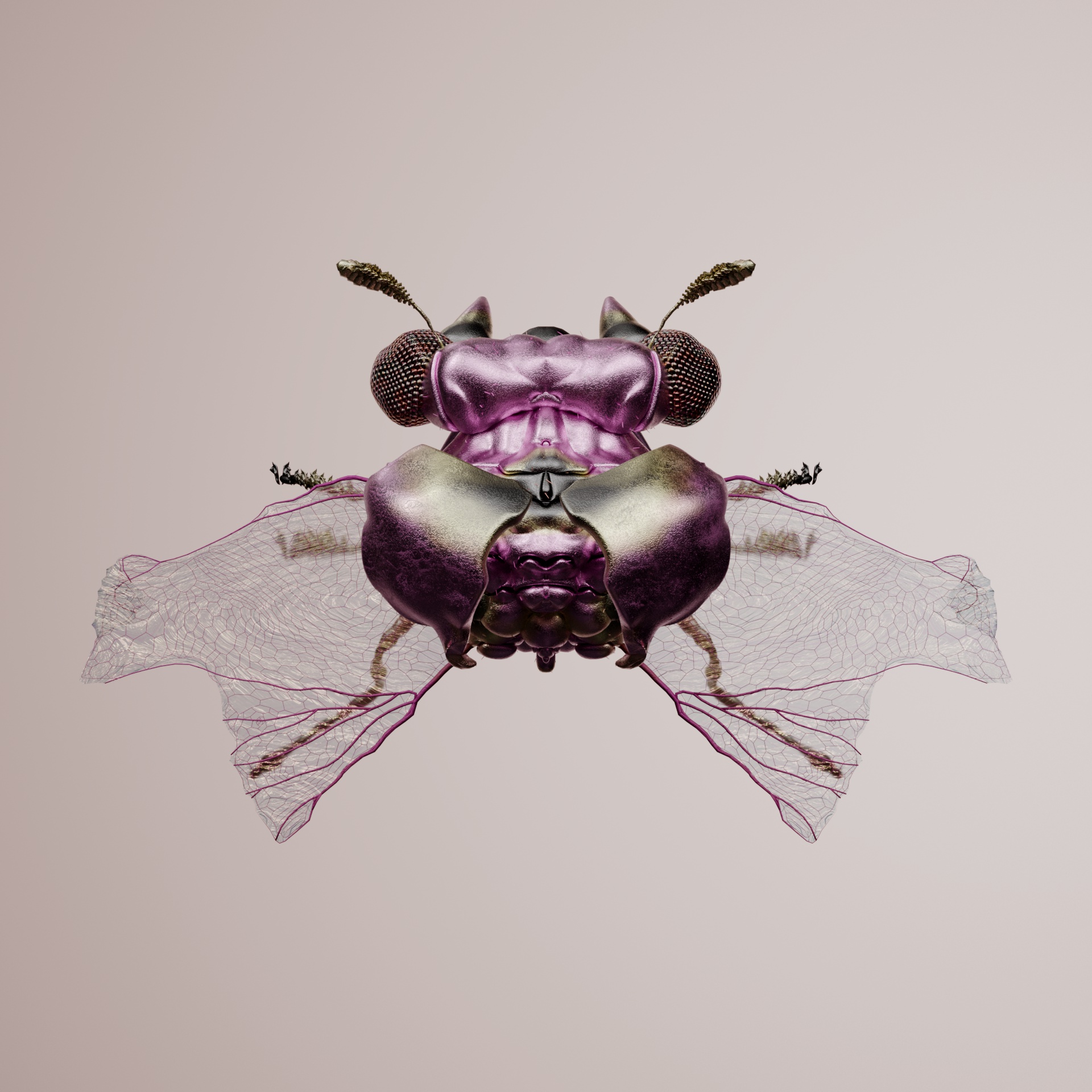 Coleopterasuperbus leucouxii