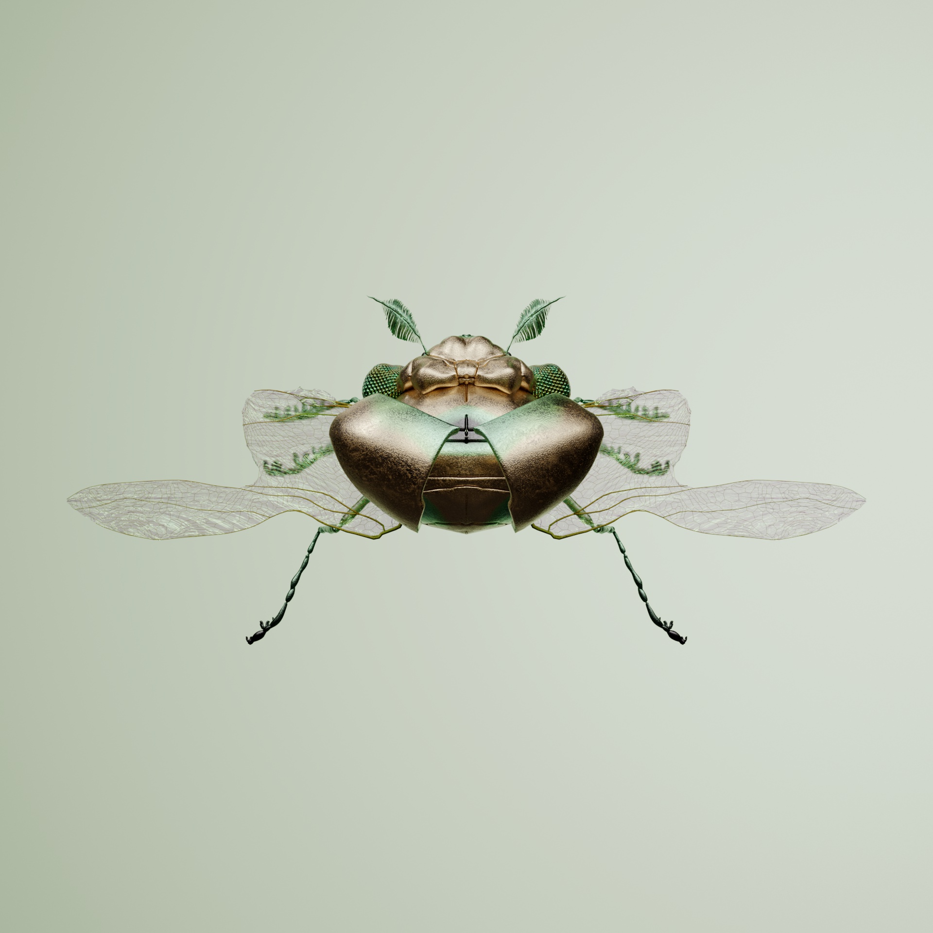 Coleopterapinguis putaeris
