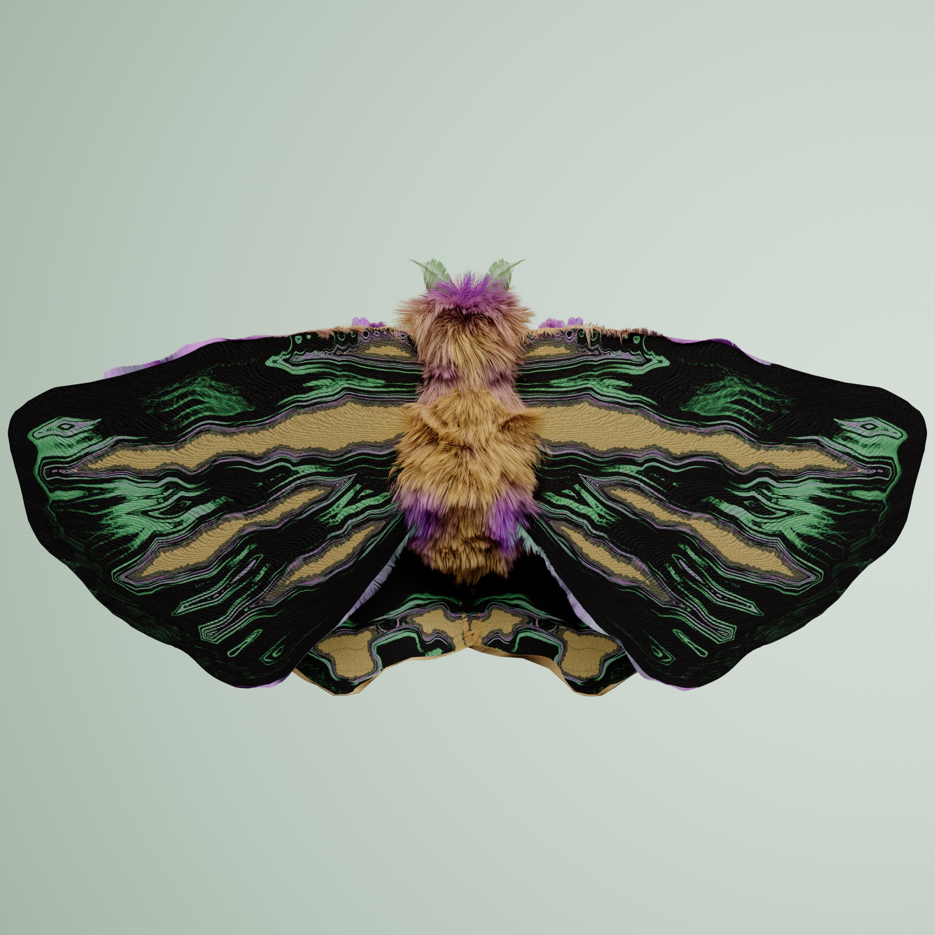 Lepidopterailus geoffrolophus