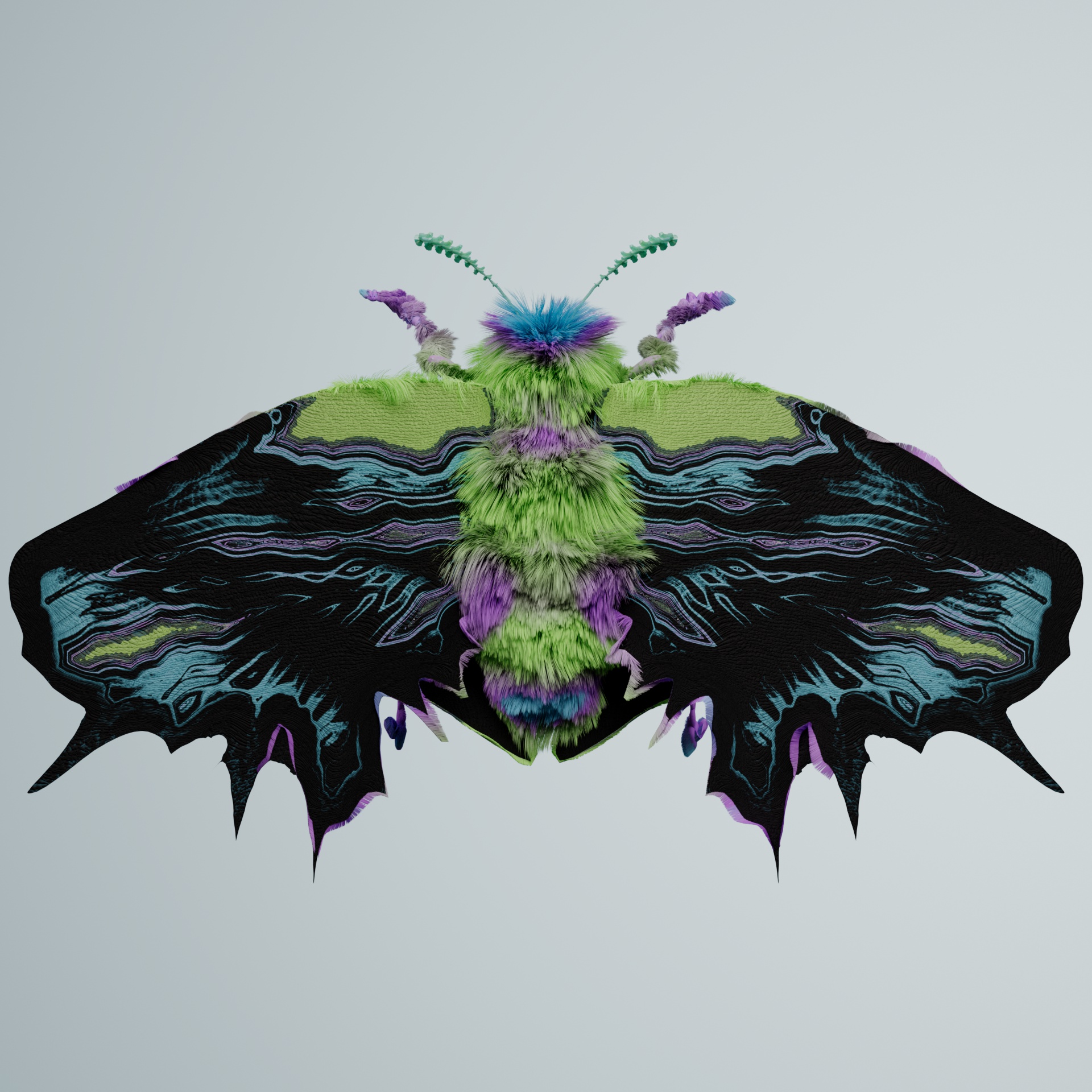 Lepidopterapinguis darwalus