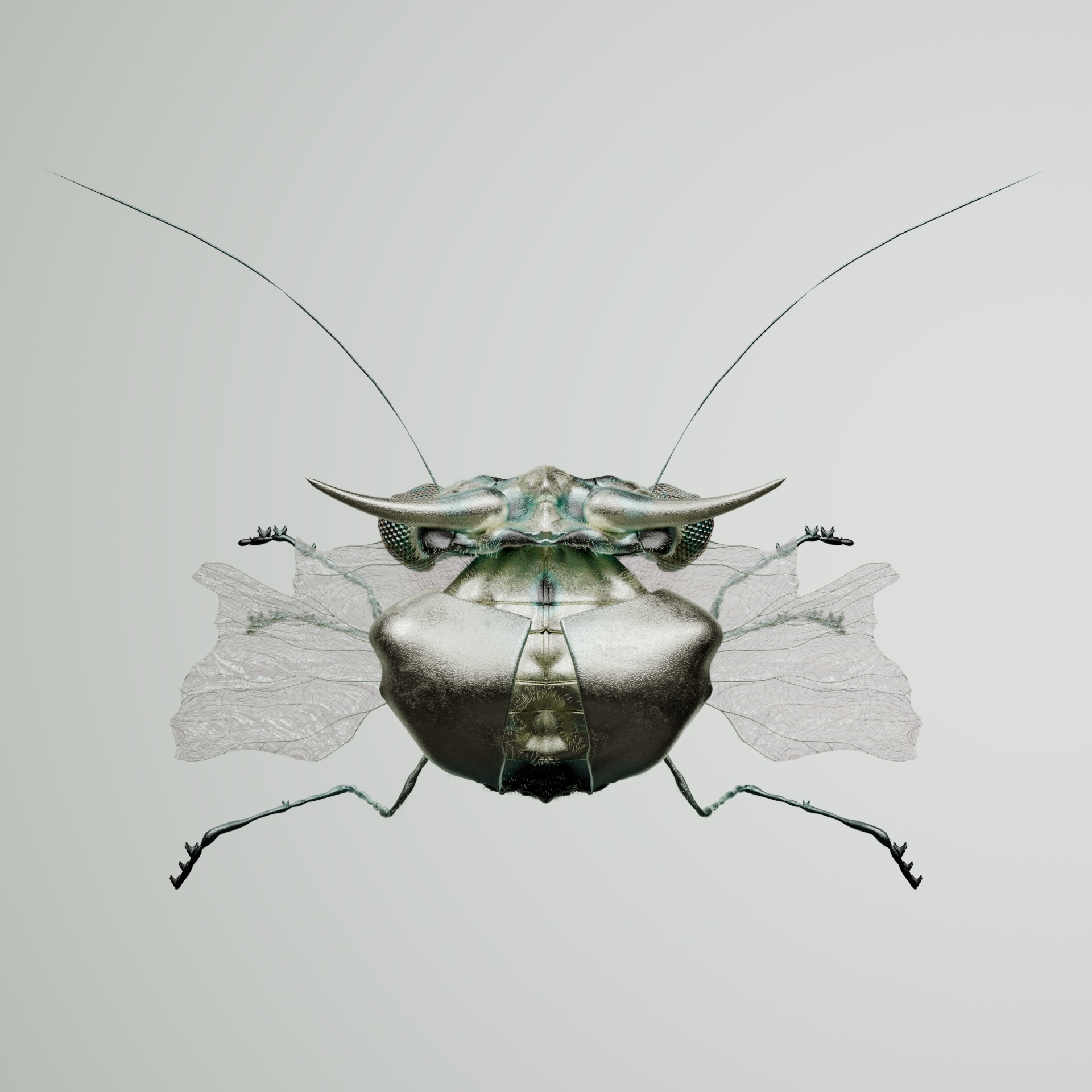Coleopterasuperbus nodiacus