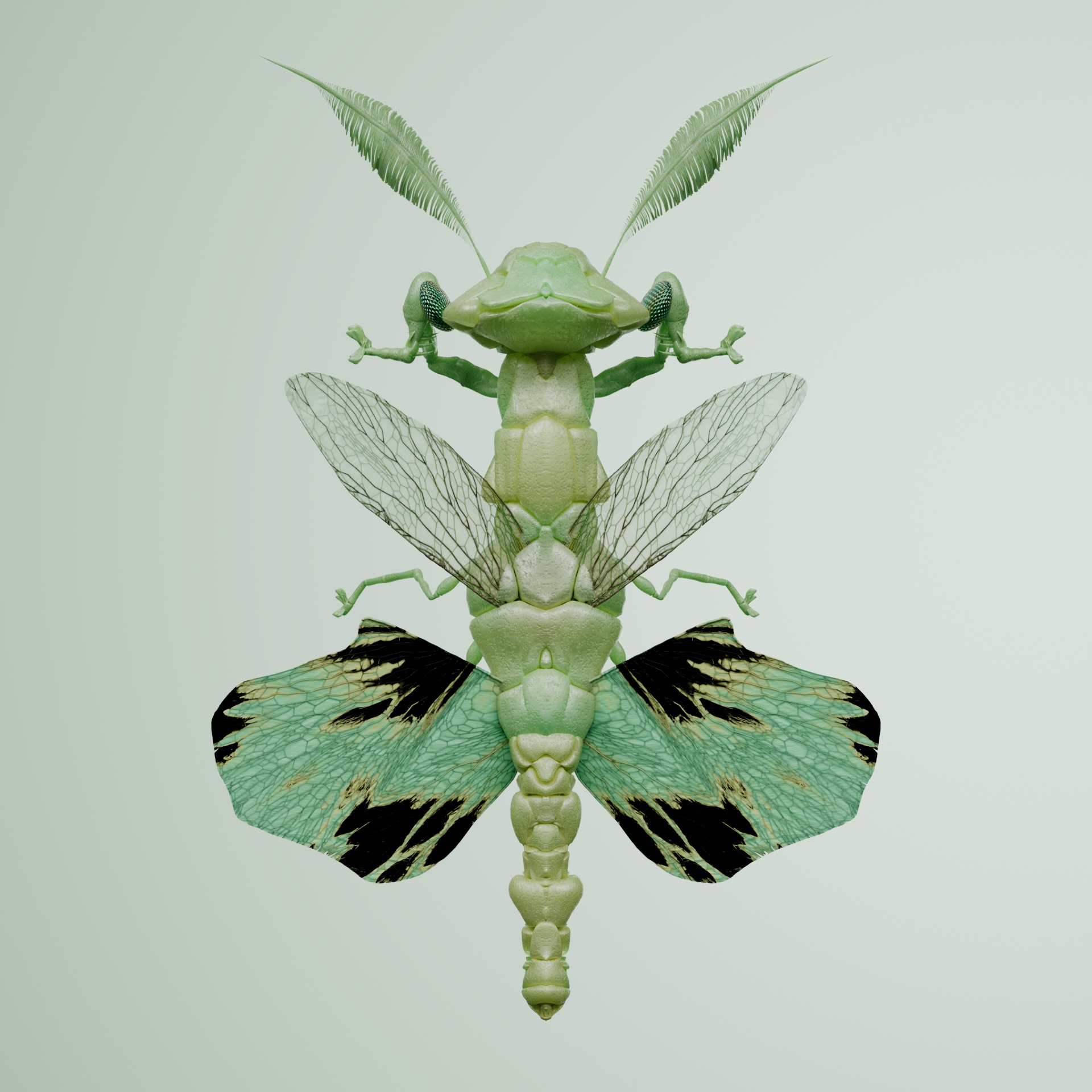 Mantodeaouatta crocaeus