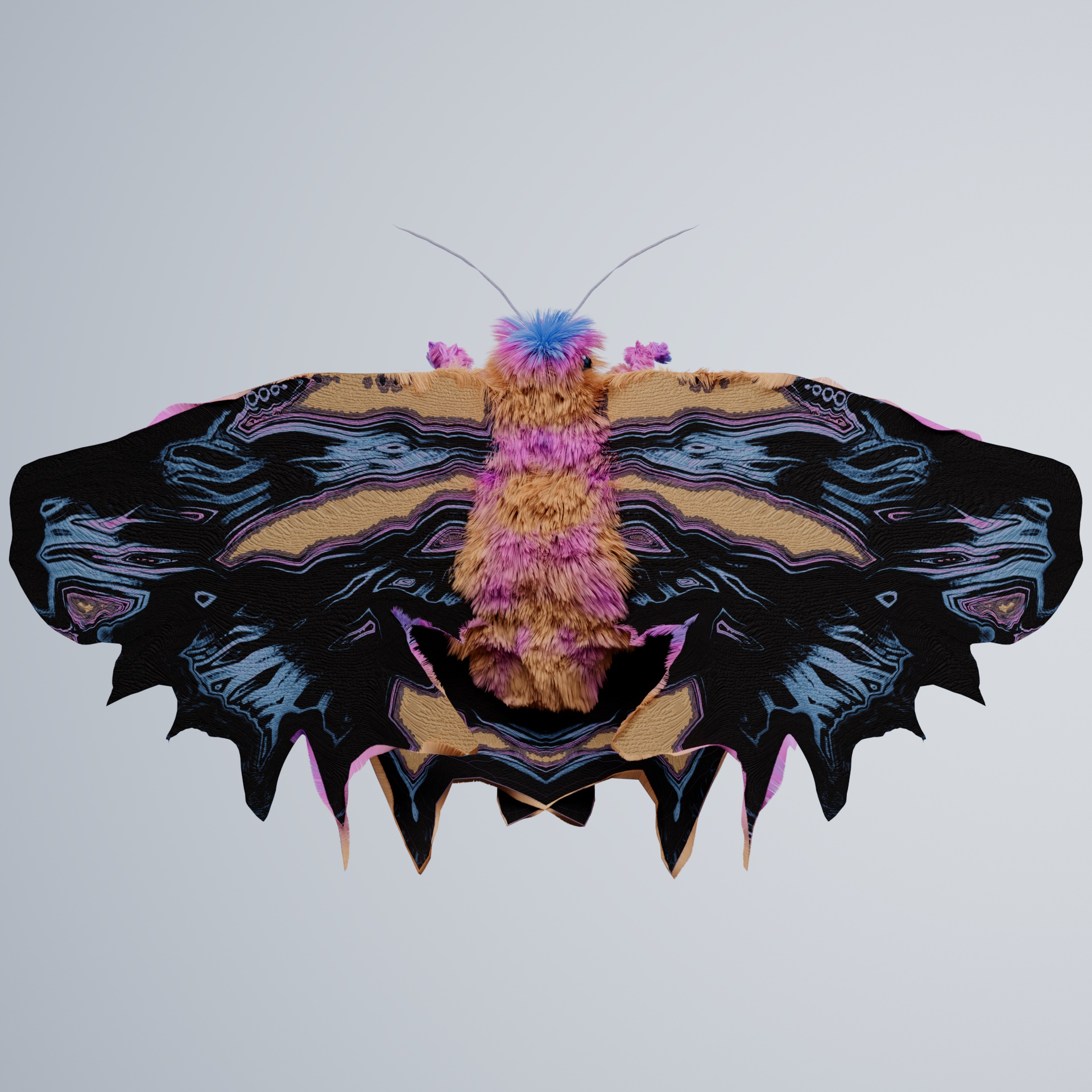 Lepidopterapinguis taro