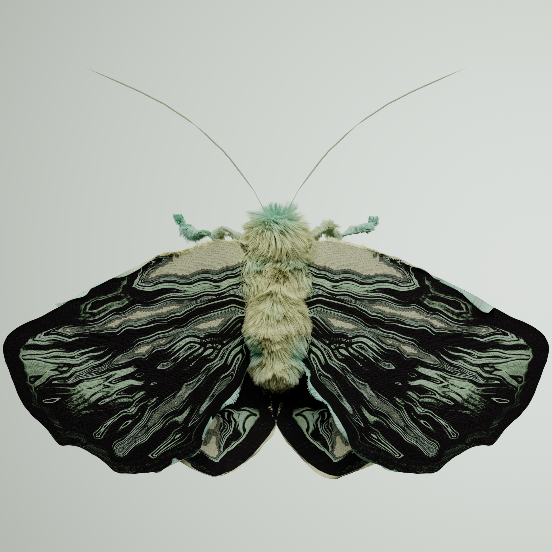 Lepidopteraarodon rupicaspis