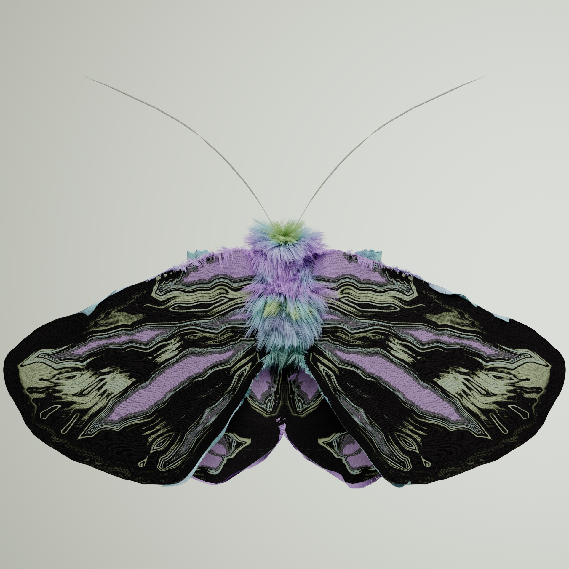 Lepidopterapinguis tibetofa