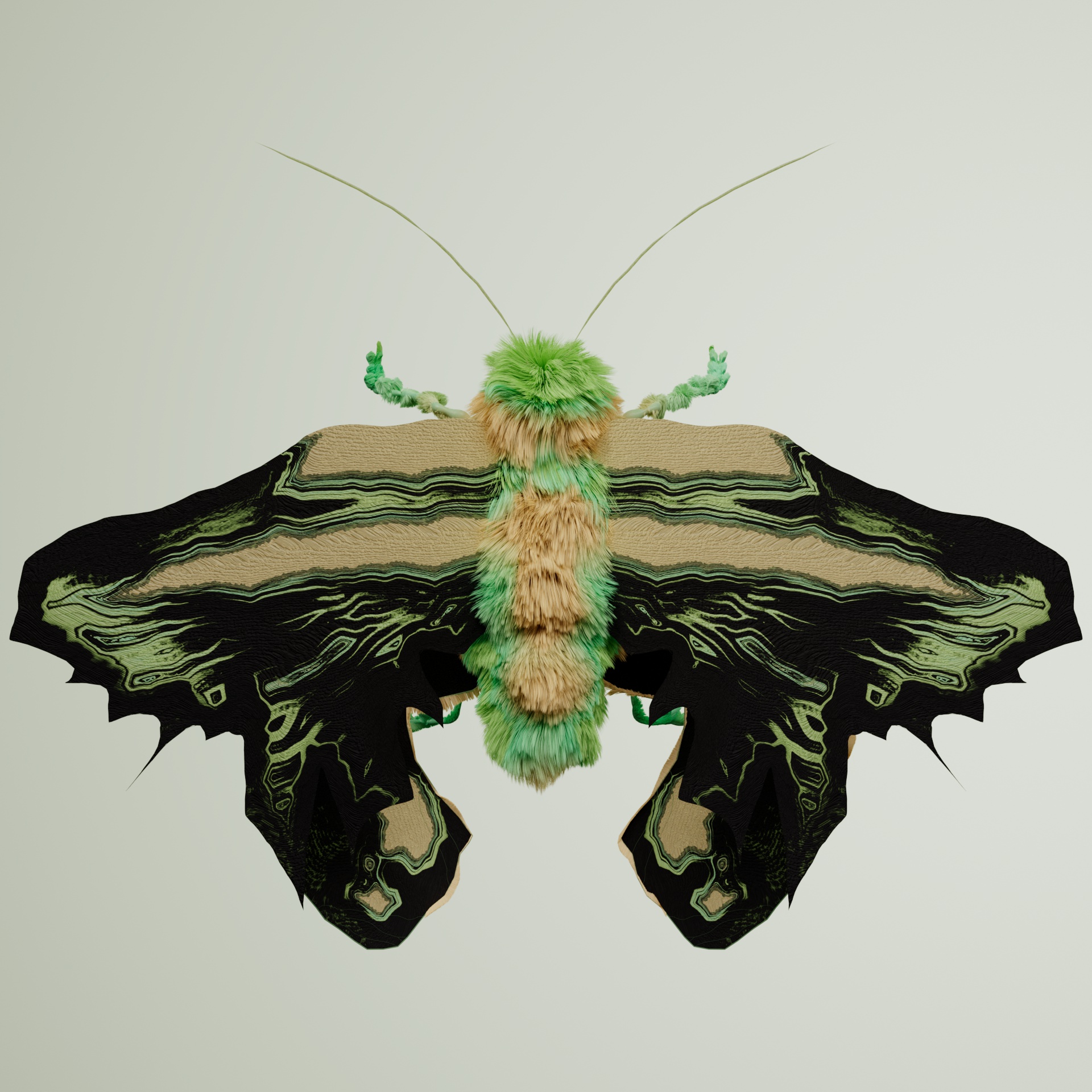 Lepidopteravivida rupiculosa