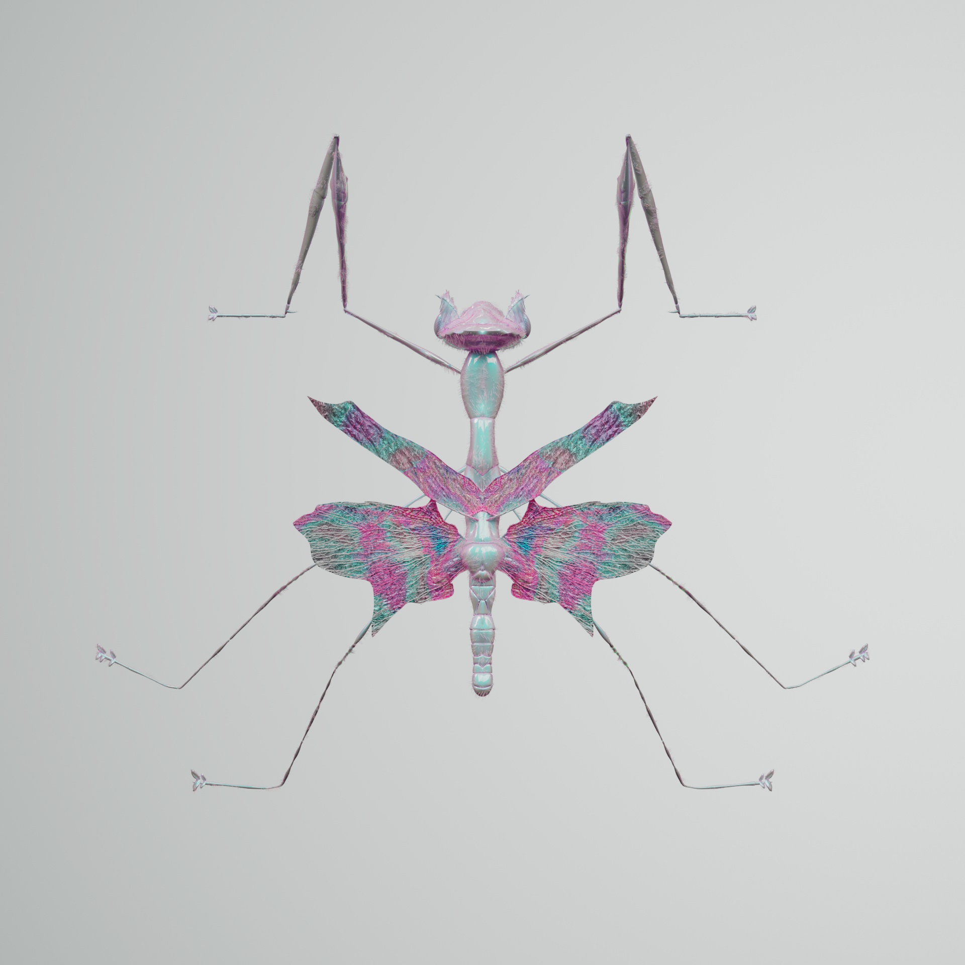 Mantodeavivida macrocodes