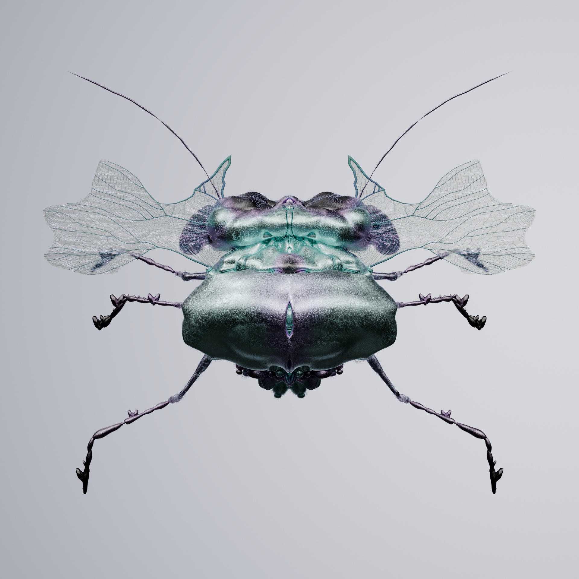 Coleopterasuperbus arctaris