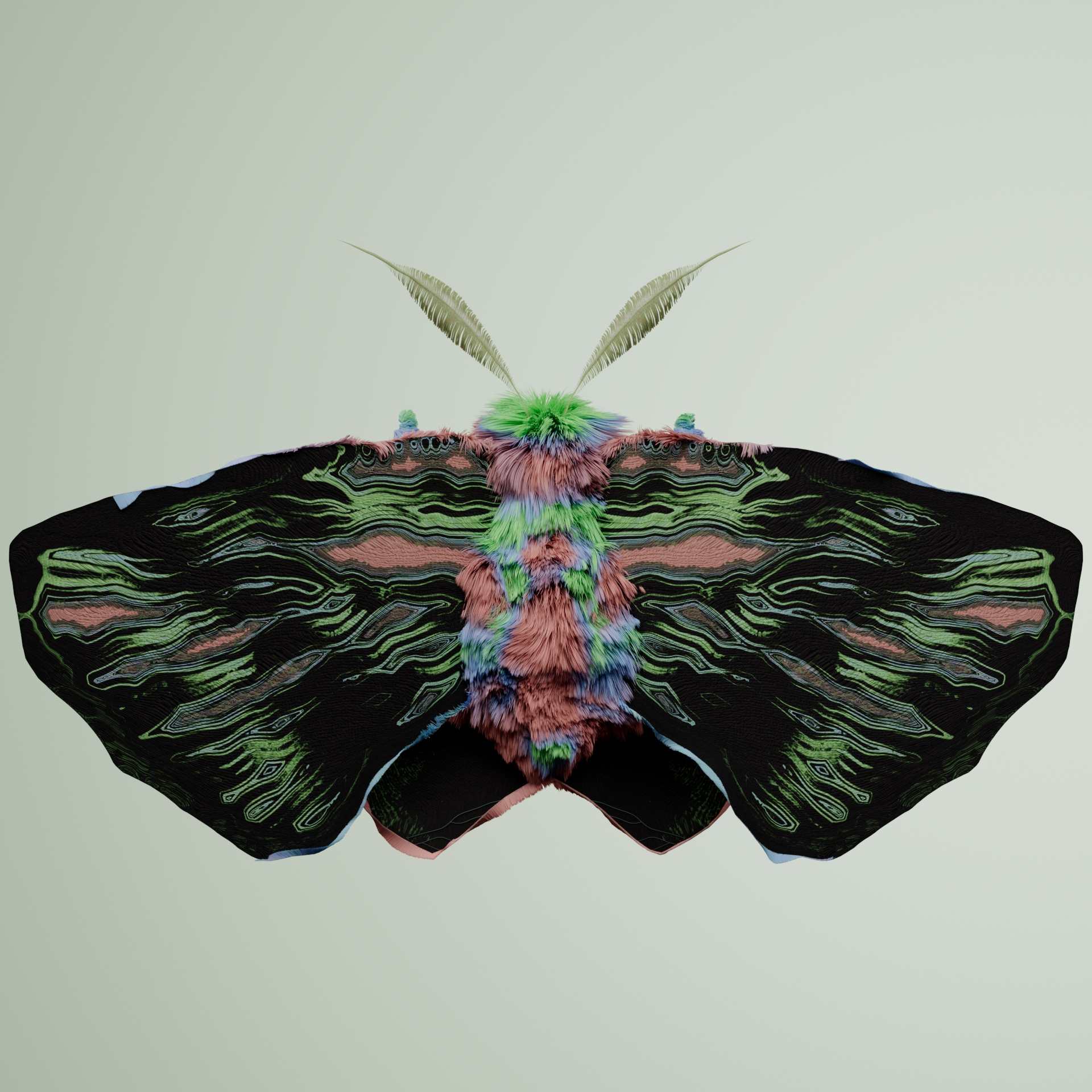 Lepidopteravivida cinaena