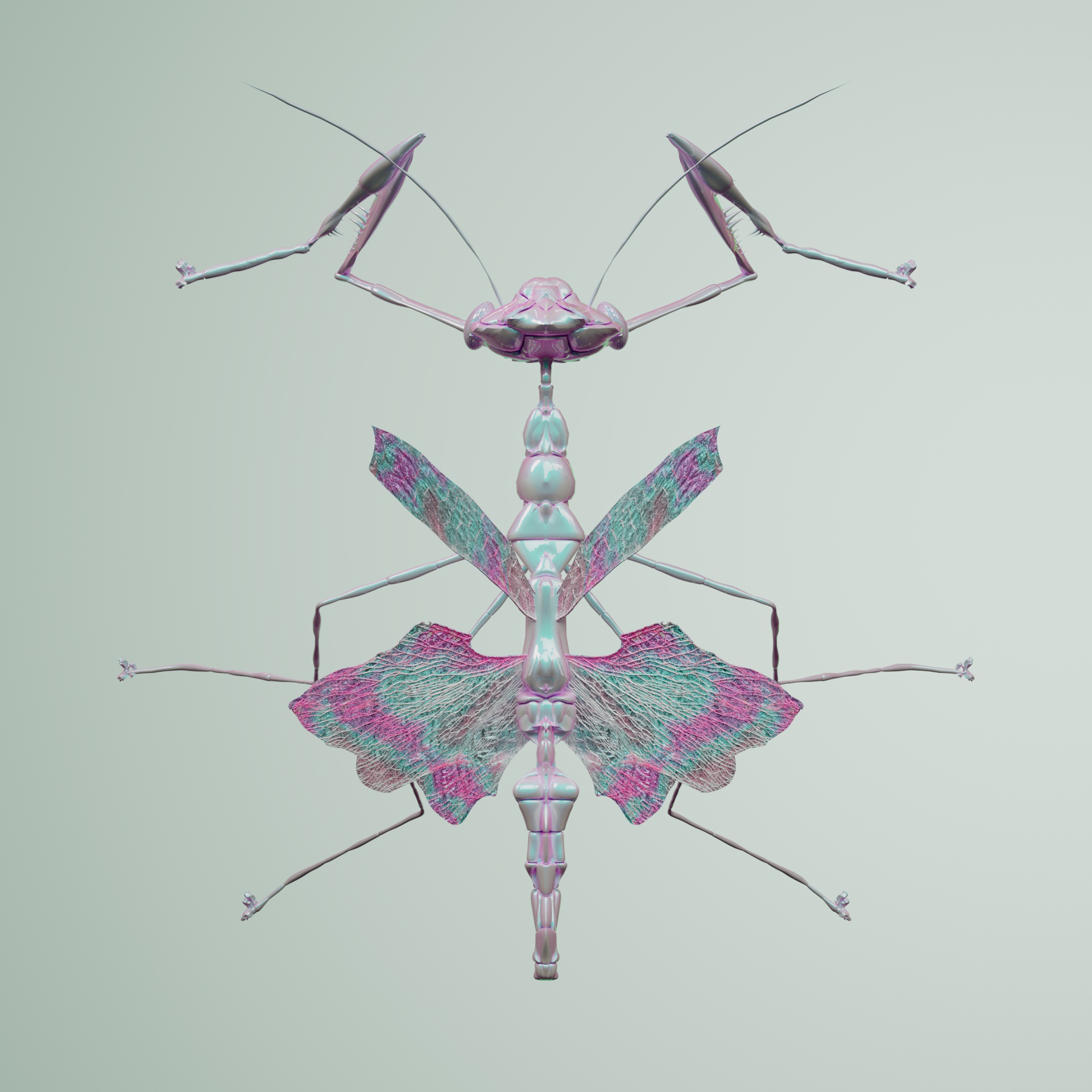 Mantodeavivida unicina