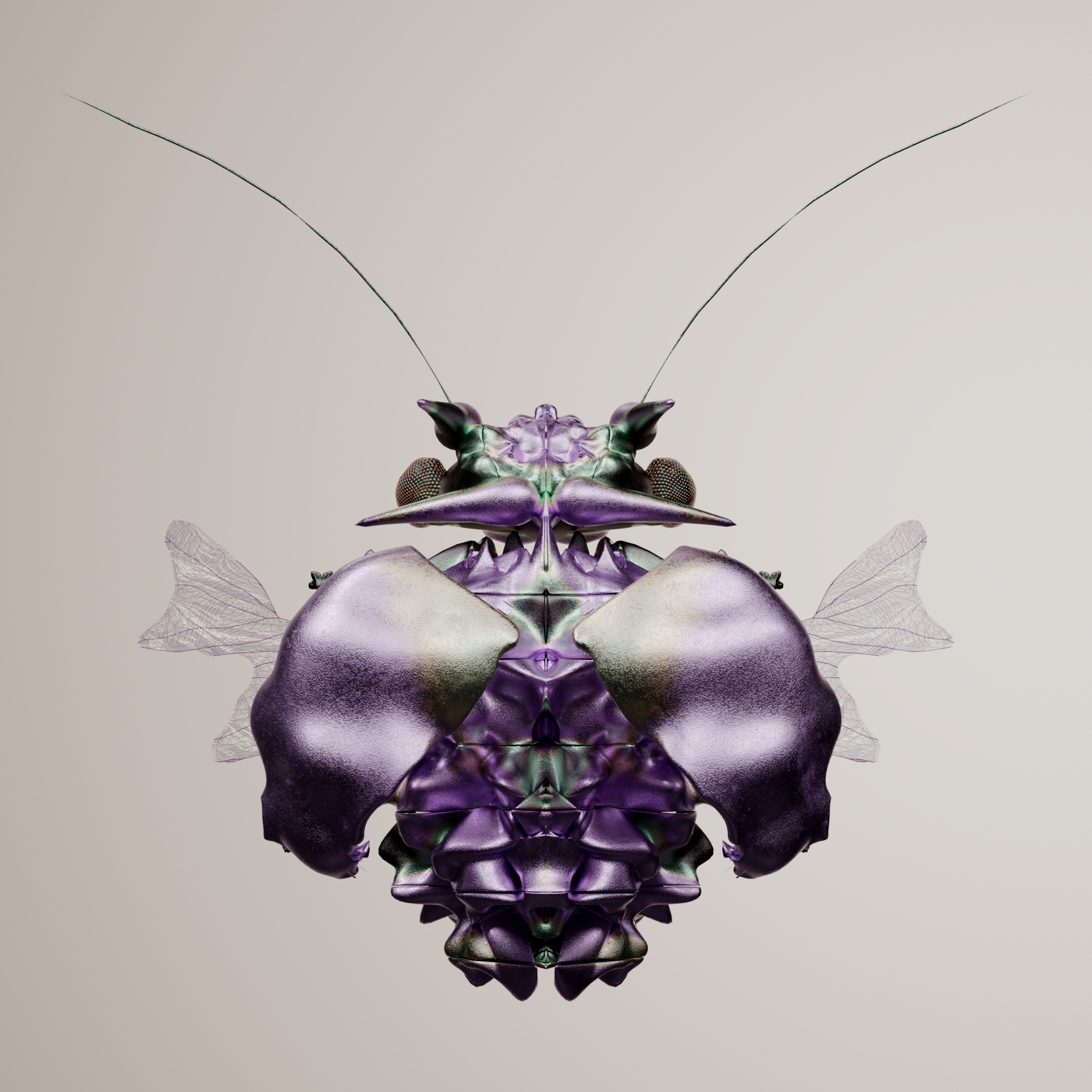 Coleopterapinguis lutriaris