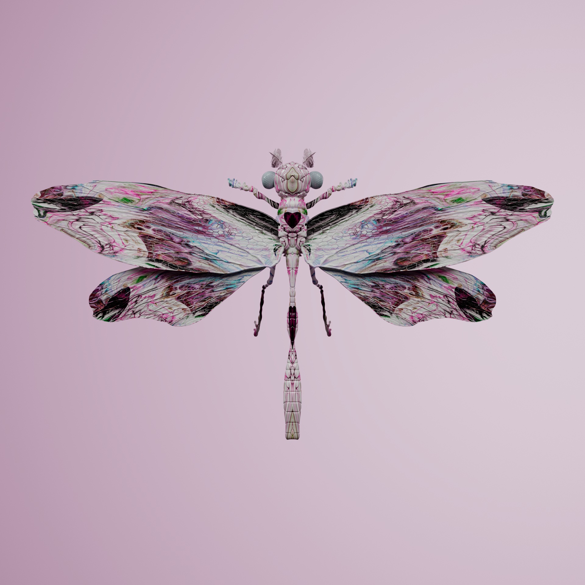 Anisopteravivida scrues