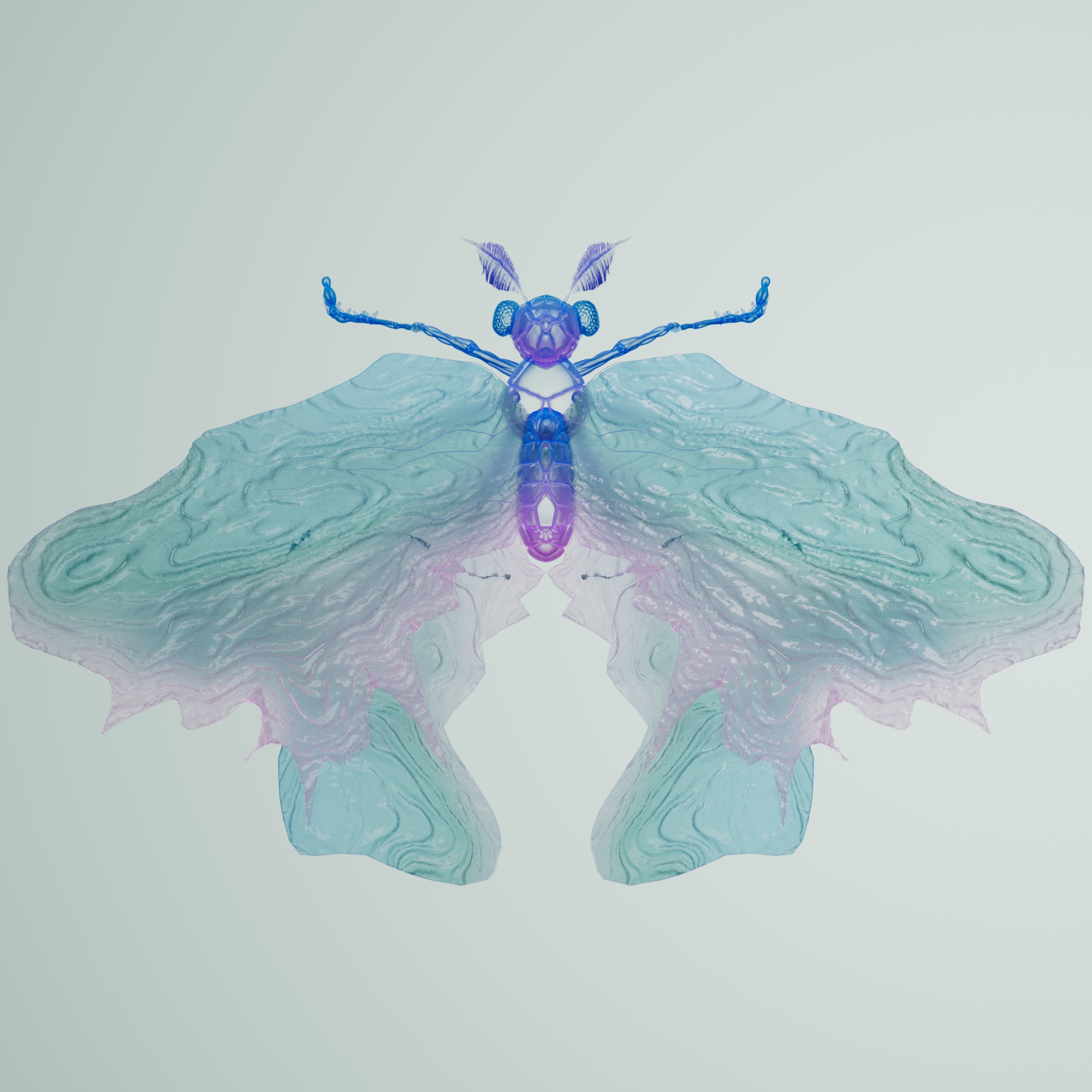 Lepidopteraeter ursinornis
