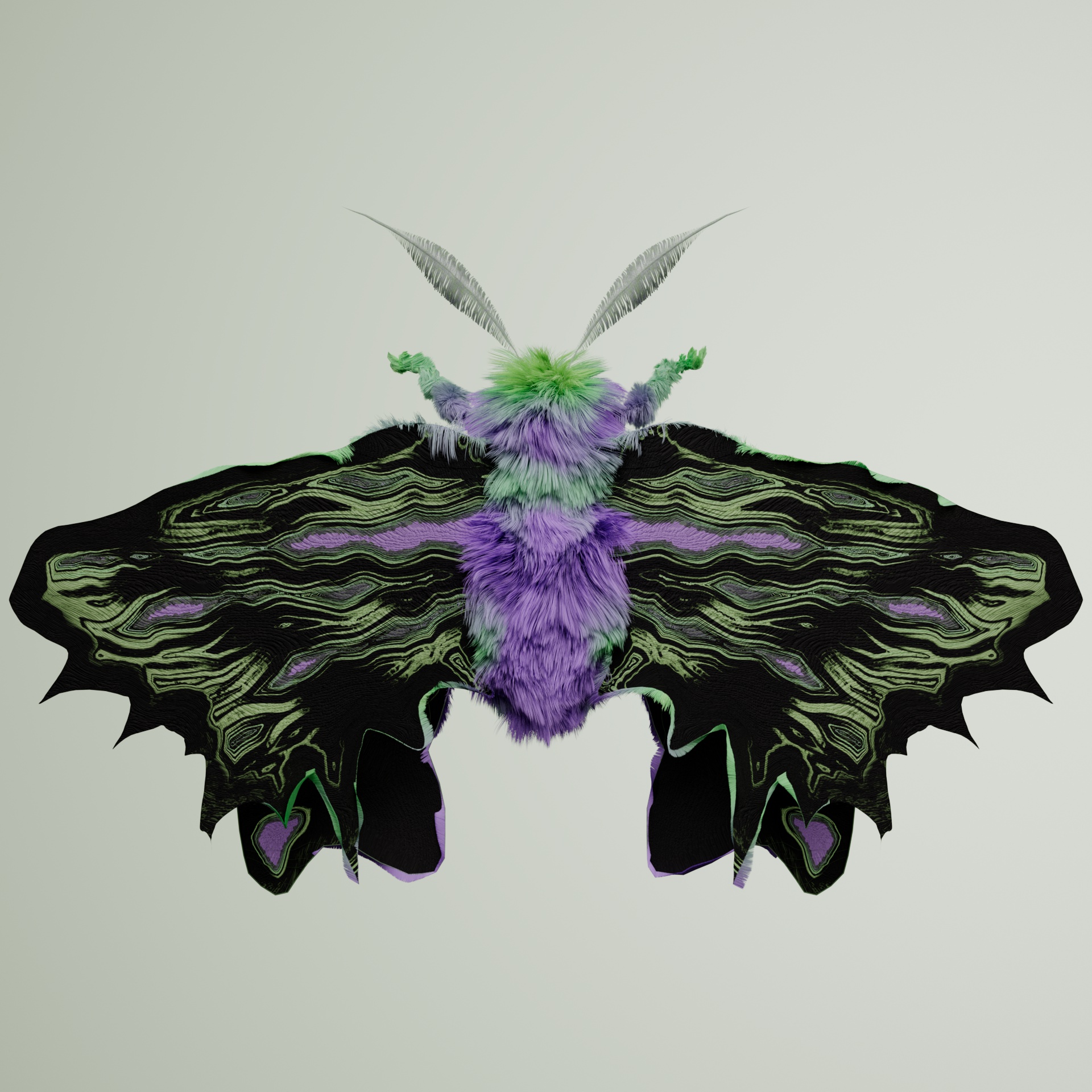 Lepidopterapinguis lynxentus