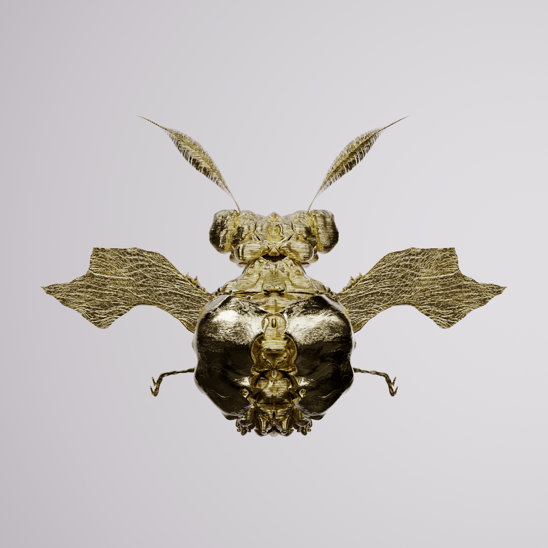 Coleopteraellidae rubecalunga