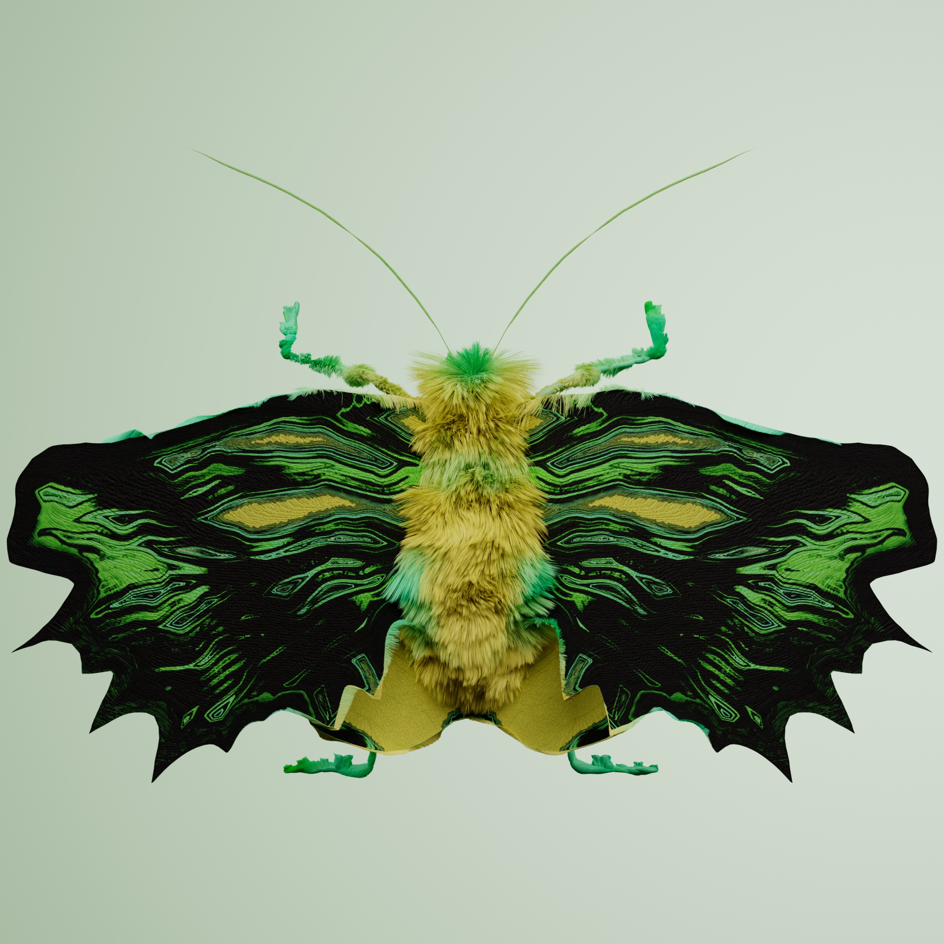 Lepidopteracerritulus lupectum