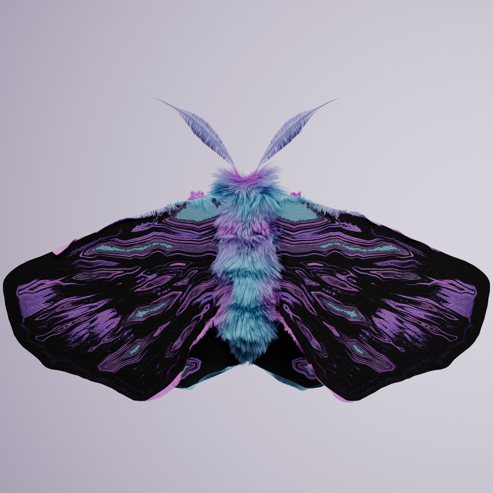 Lepidopteraproceritas ferilis