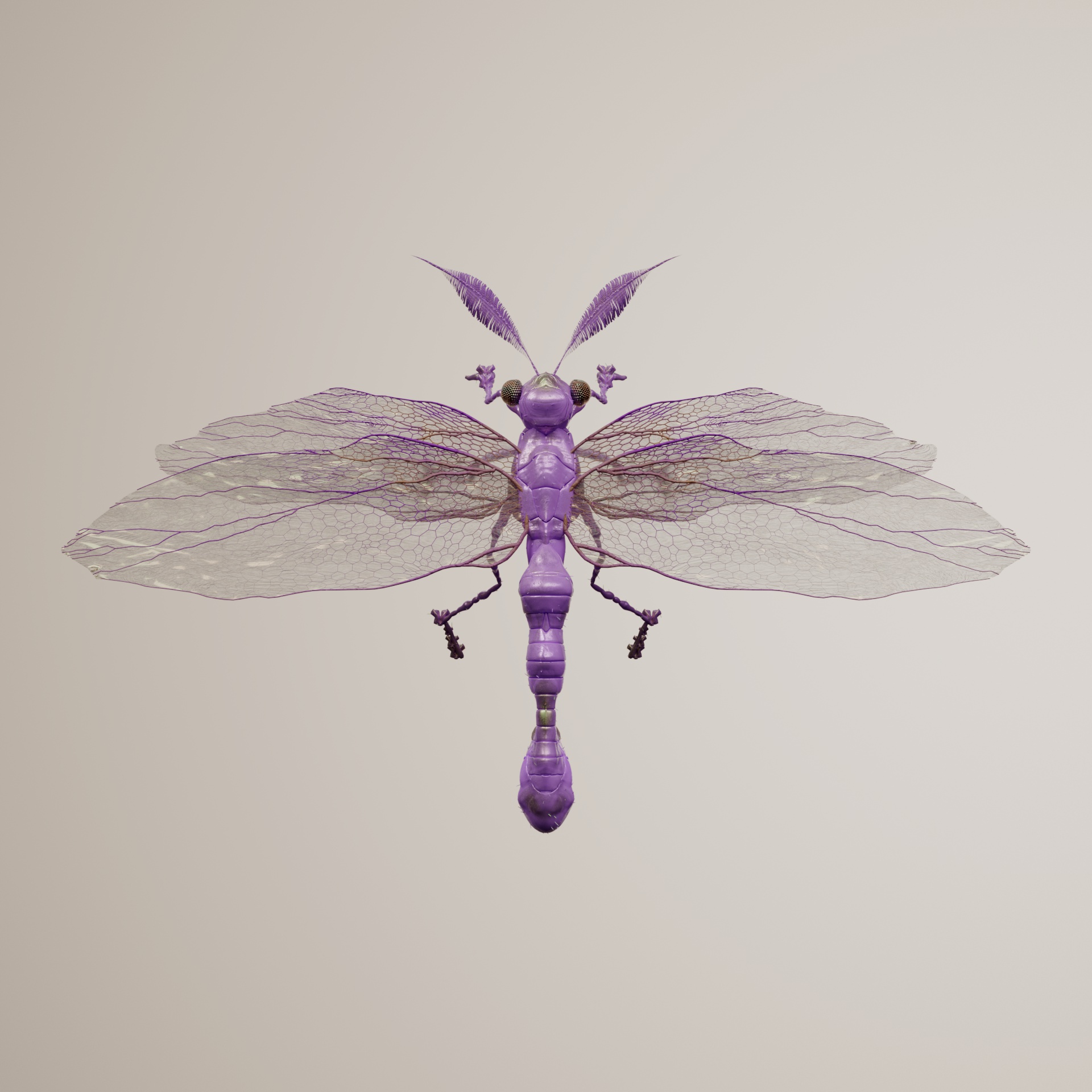 Anisopteraithidae gangetodes