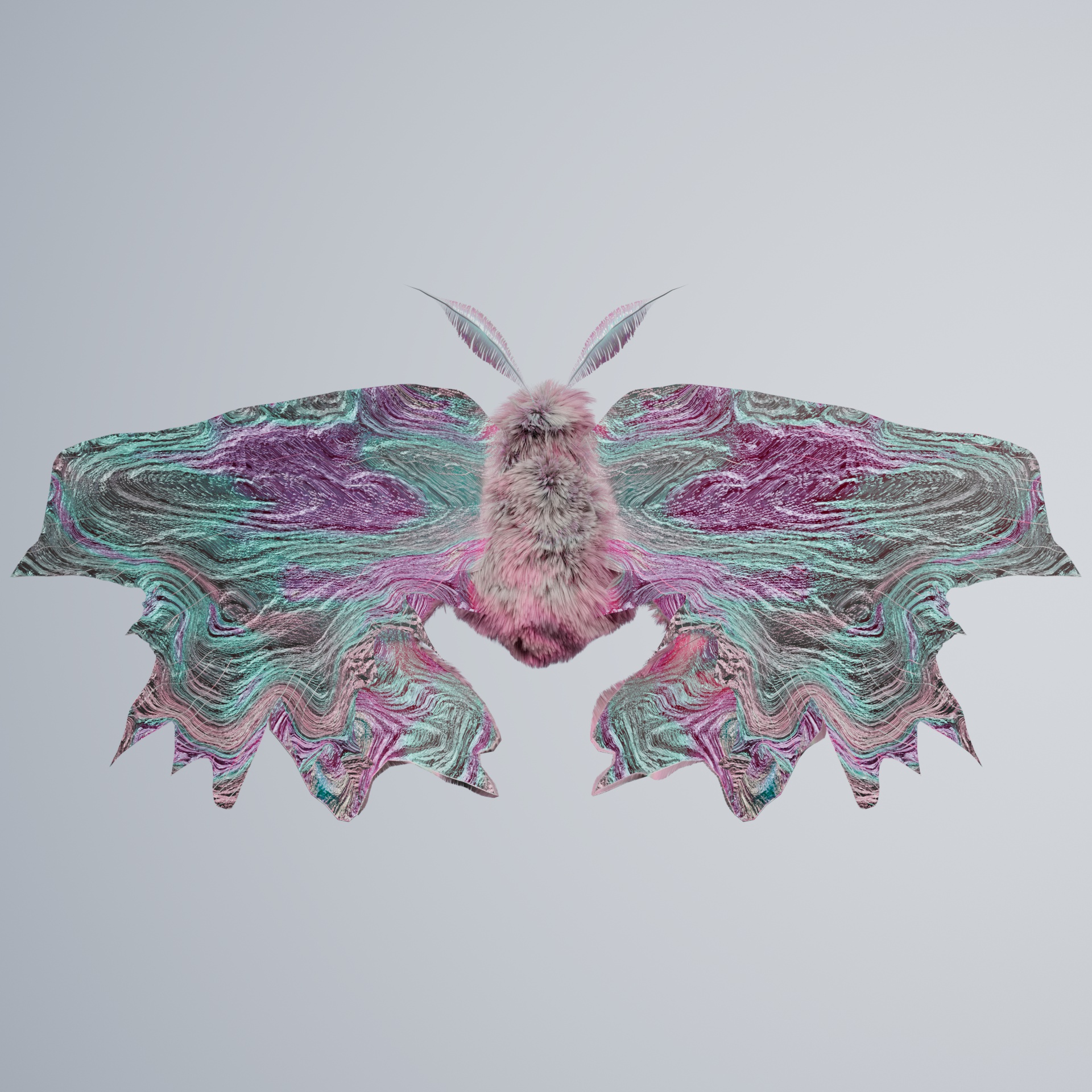 Lepidopteravivida mandinii