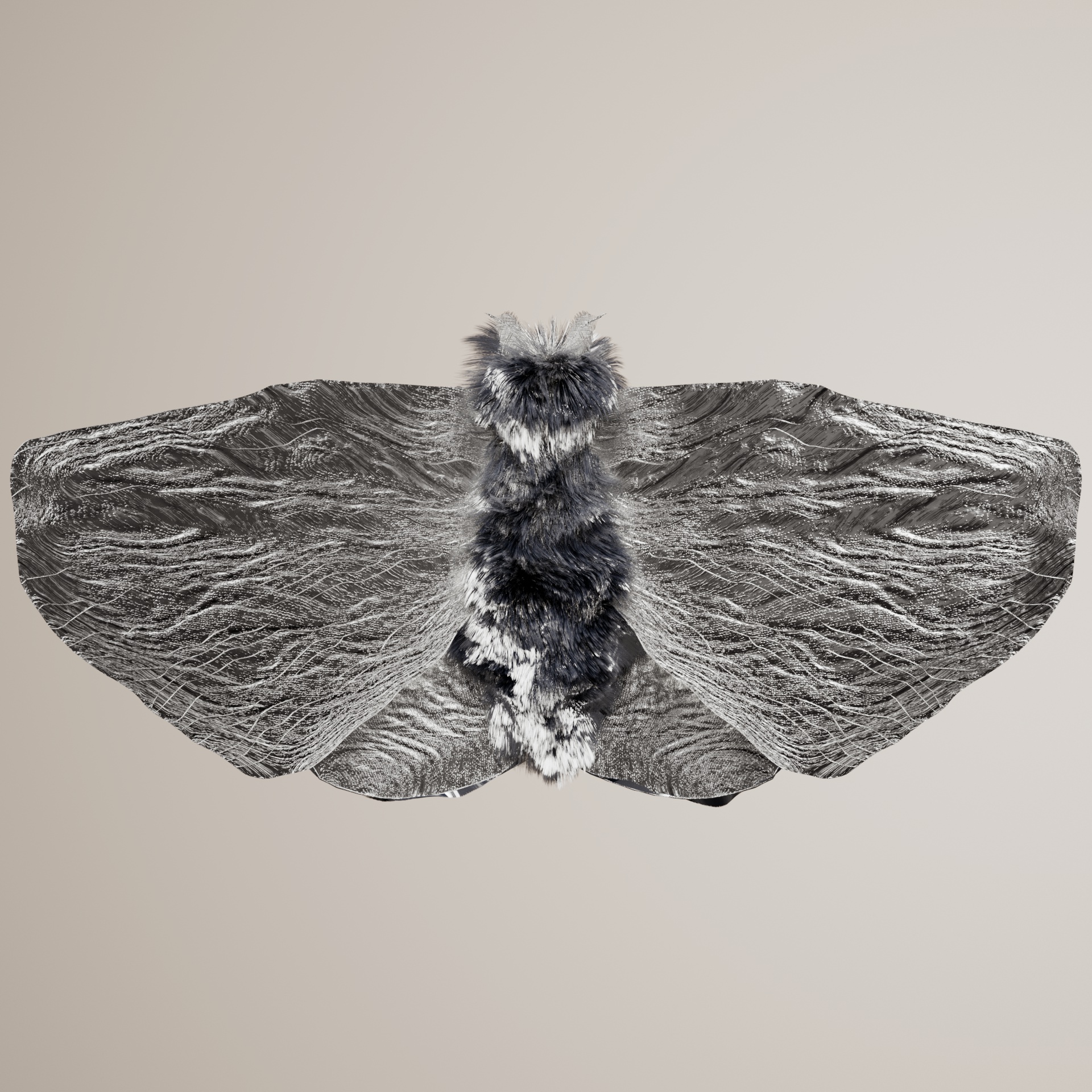 Lepidopteraongiae gangetodes