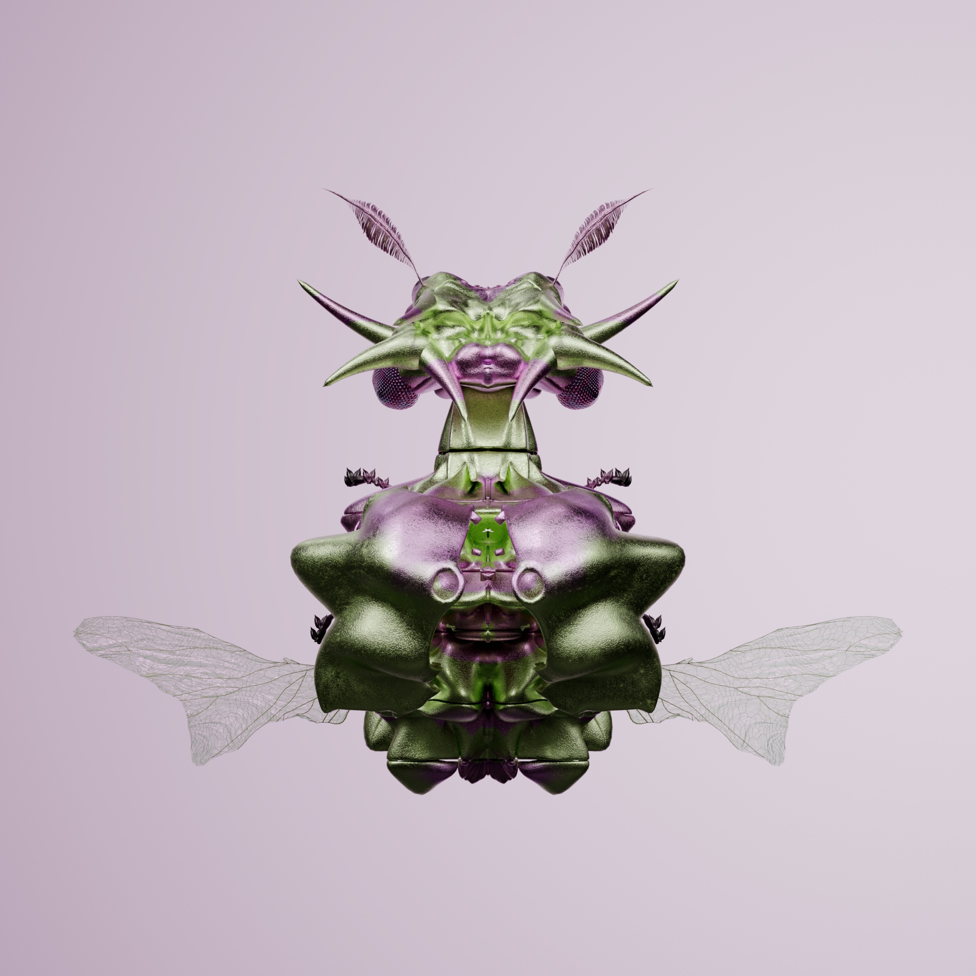 Coleopteracerritulus magellor