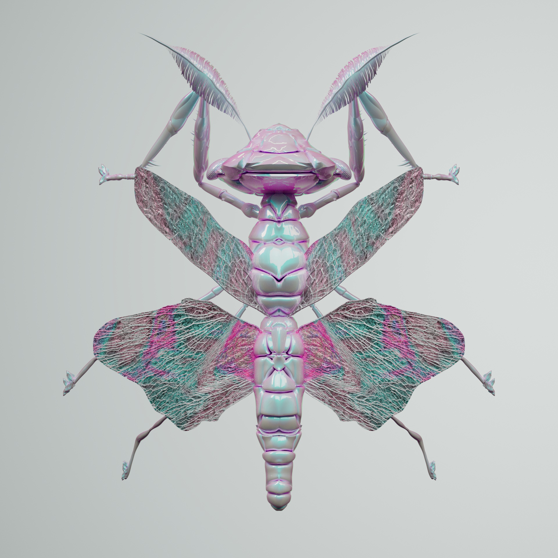 Mantodeavivida natticha