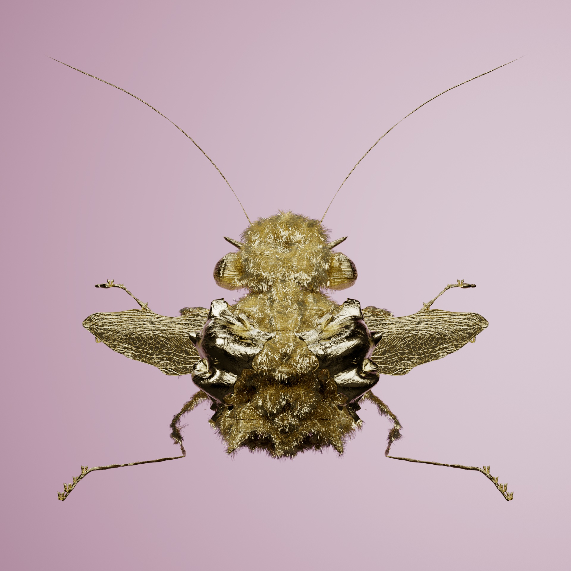 Coleopteracerritulus bicoleuca