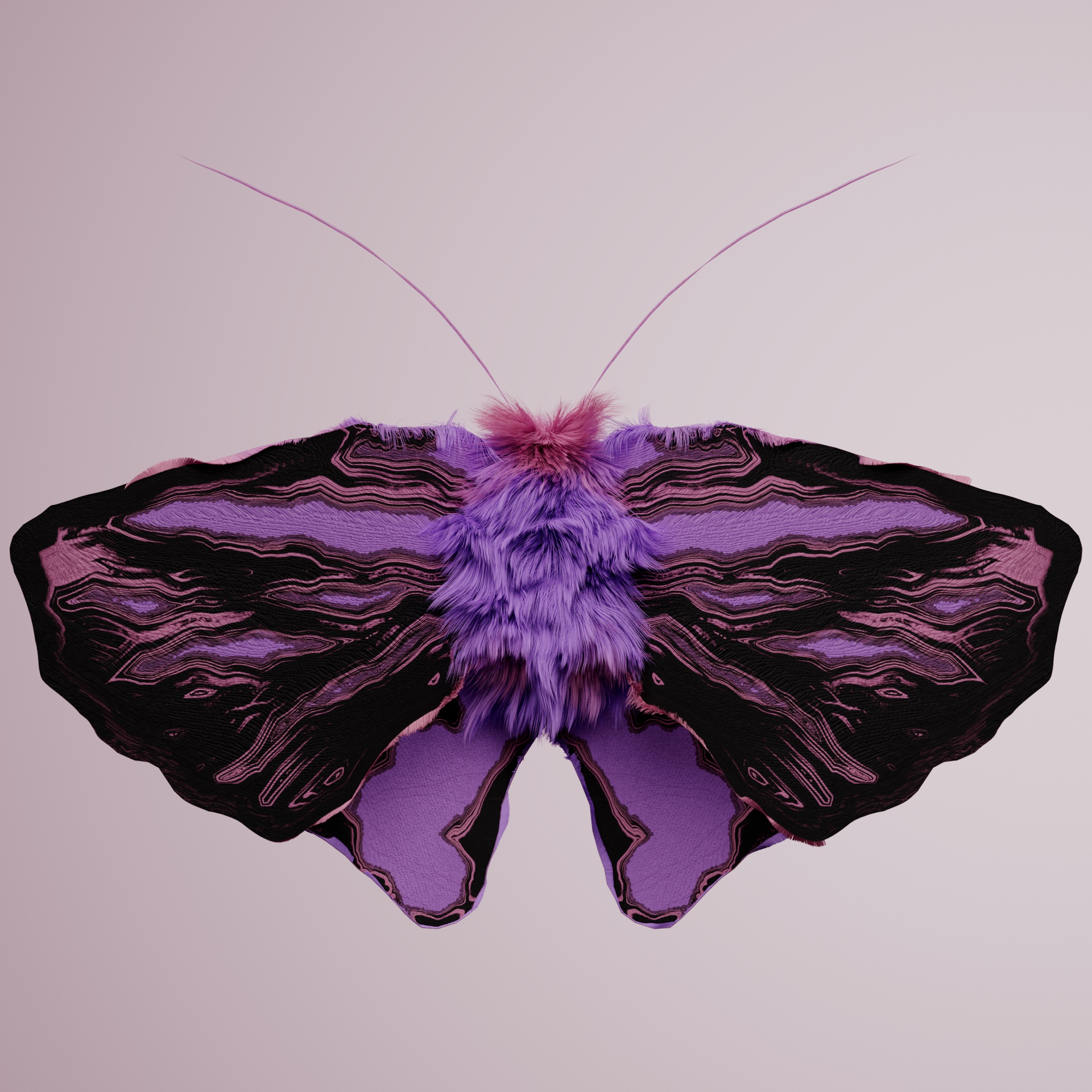 Lepidopterapinguis mephofa