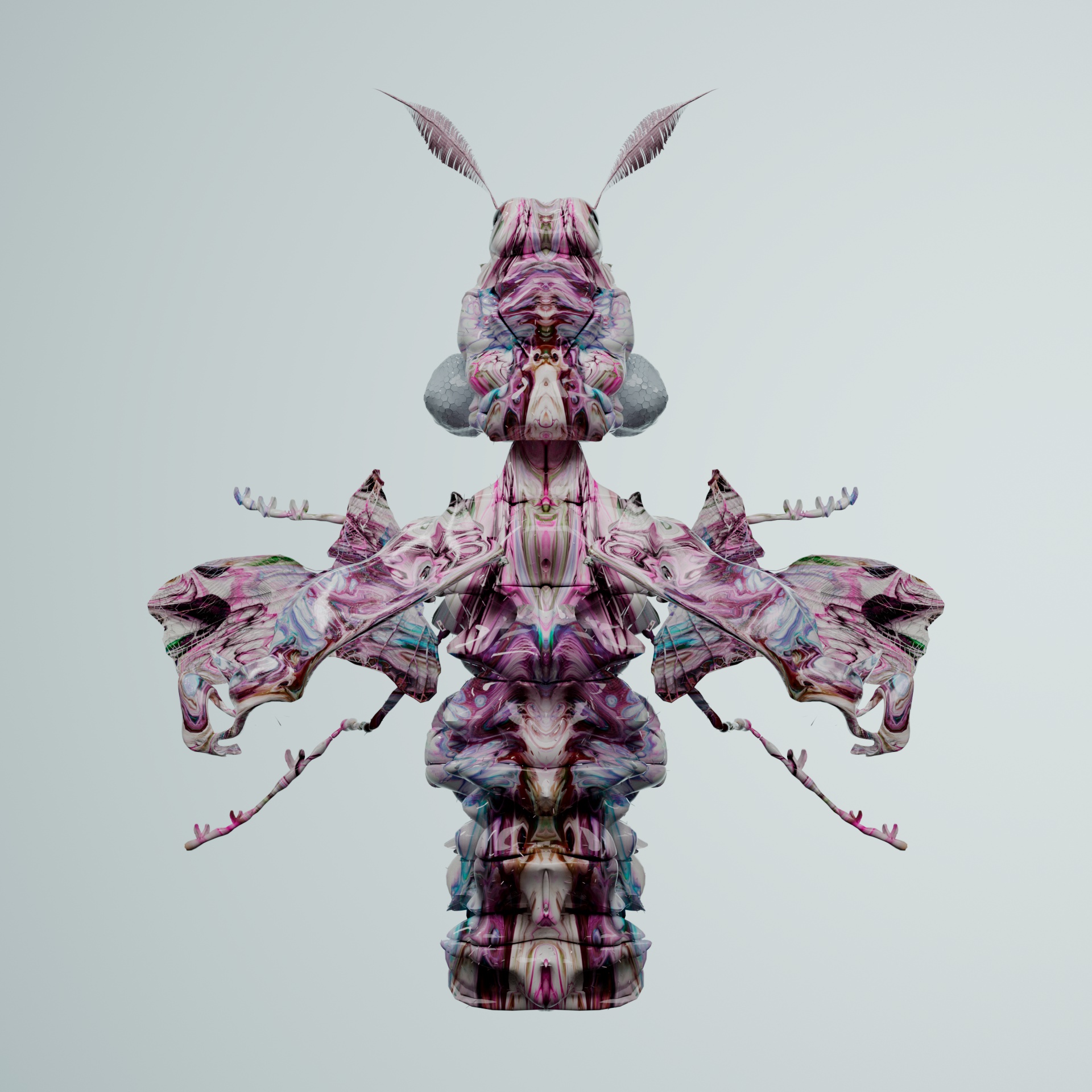 Coleopteravivida tigriens