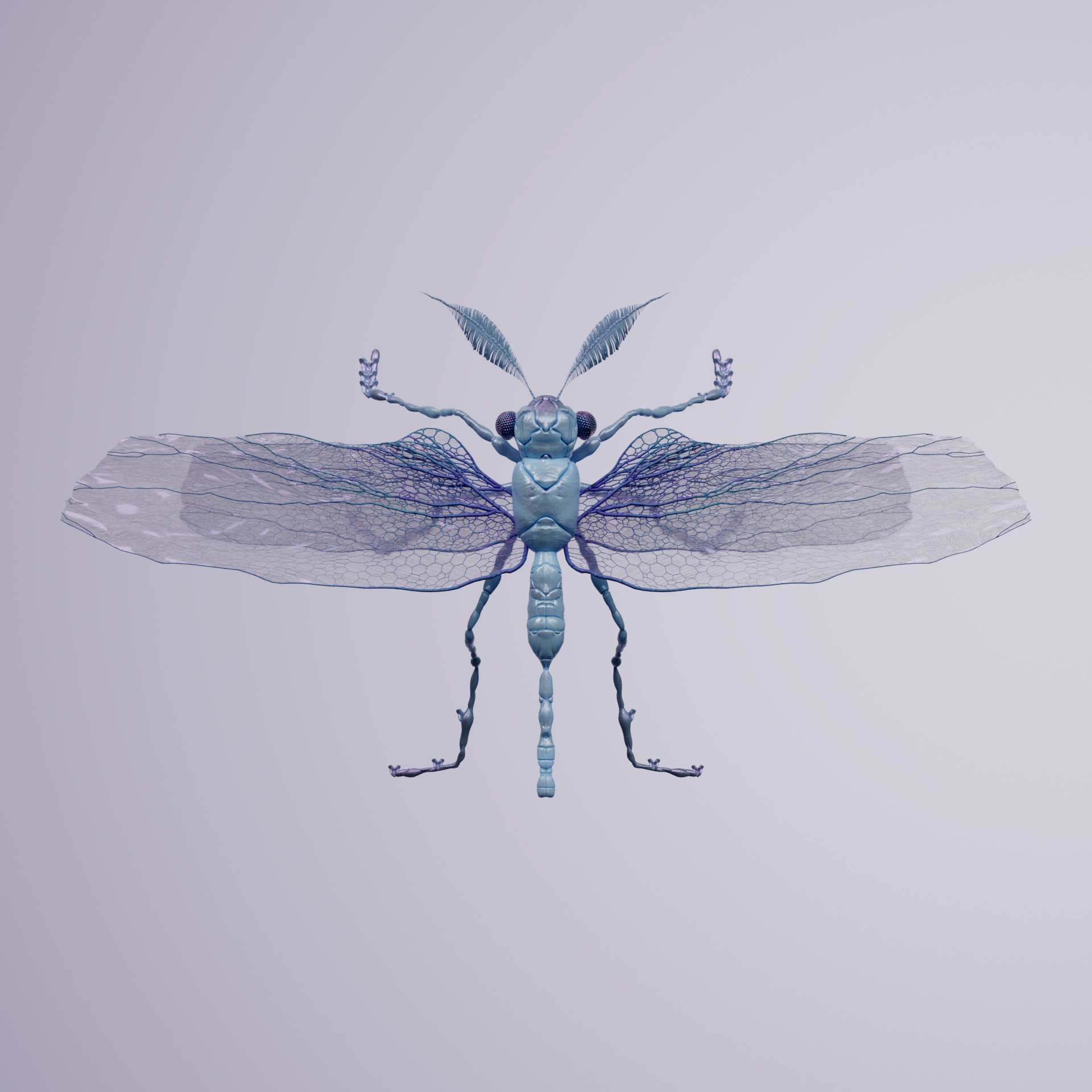 Anisopteraodidae vitulalis